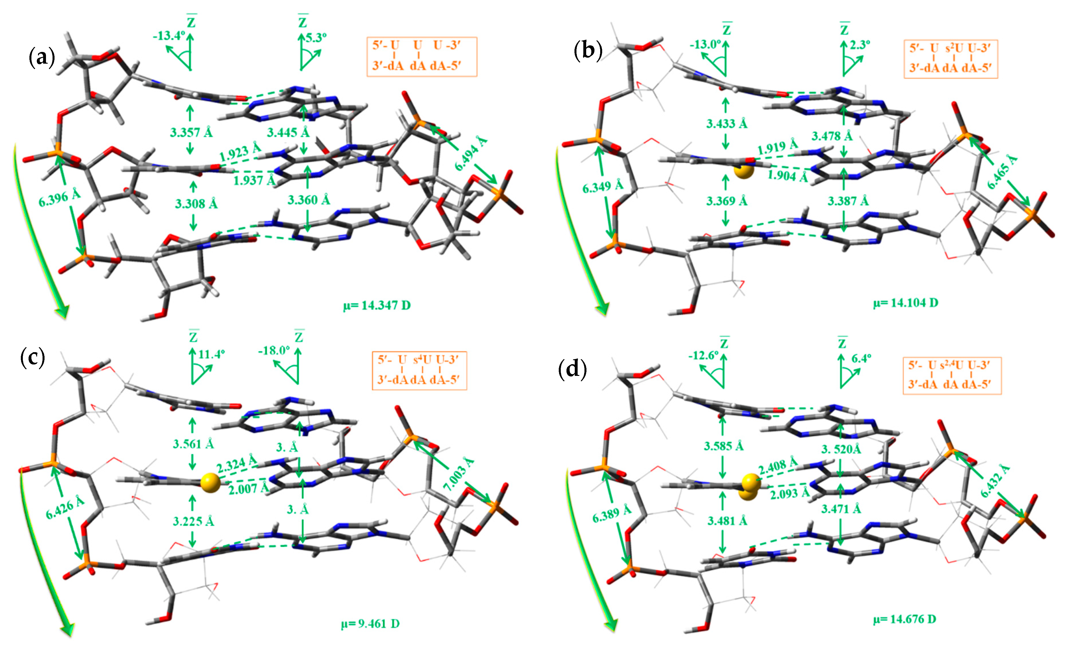 Ijms 20 03477 g009 Ijms 20 03477 g009