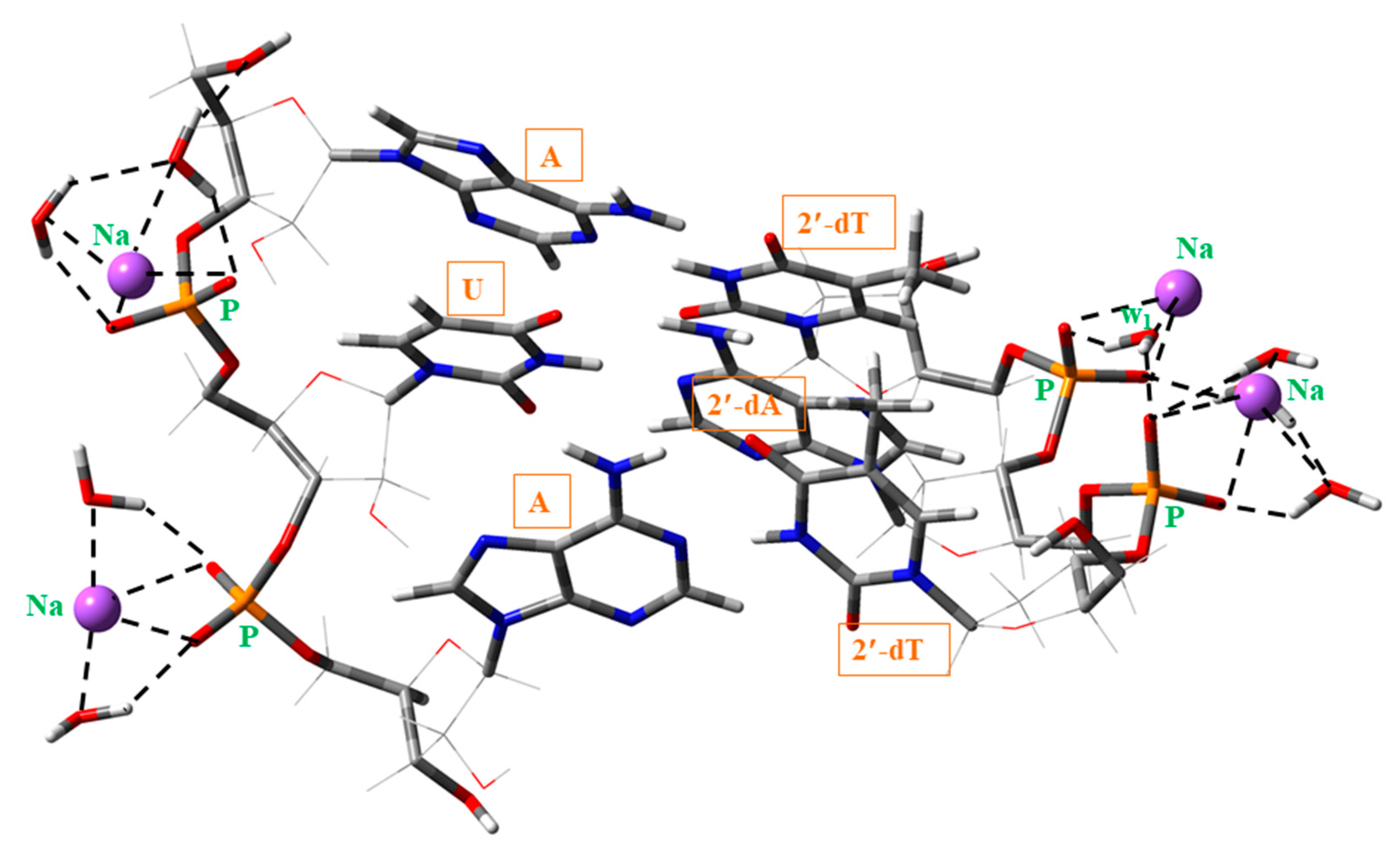 Ijms 20 03477 g010 Ijms 20 03477 g010
