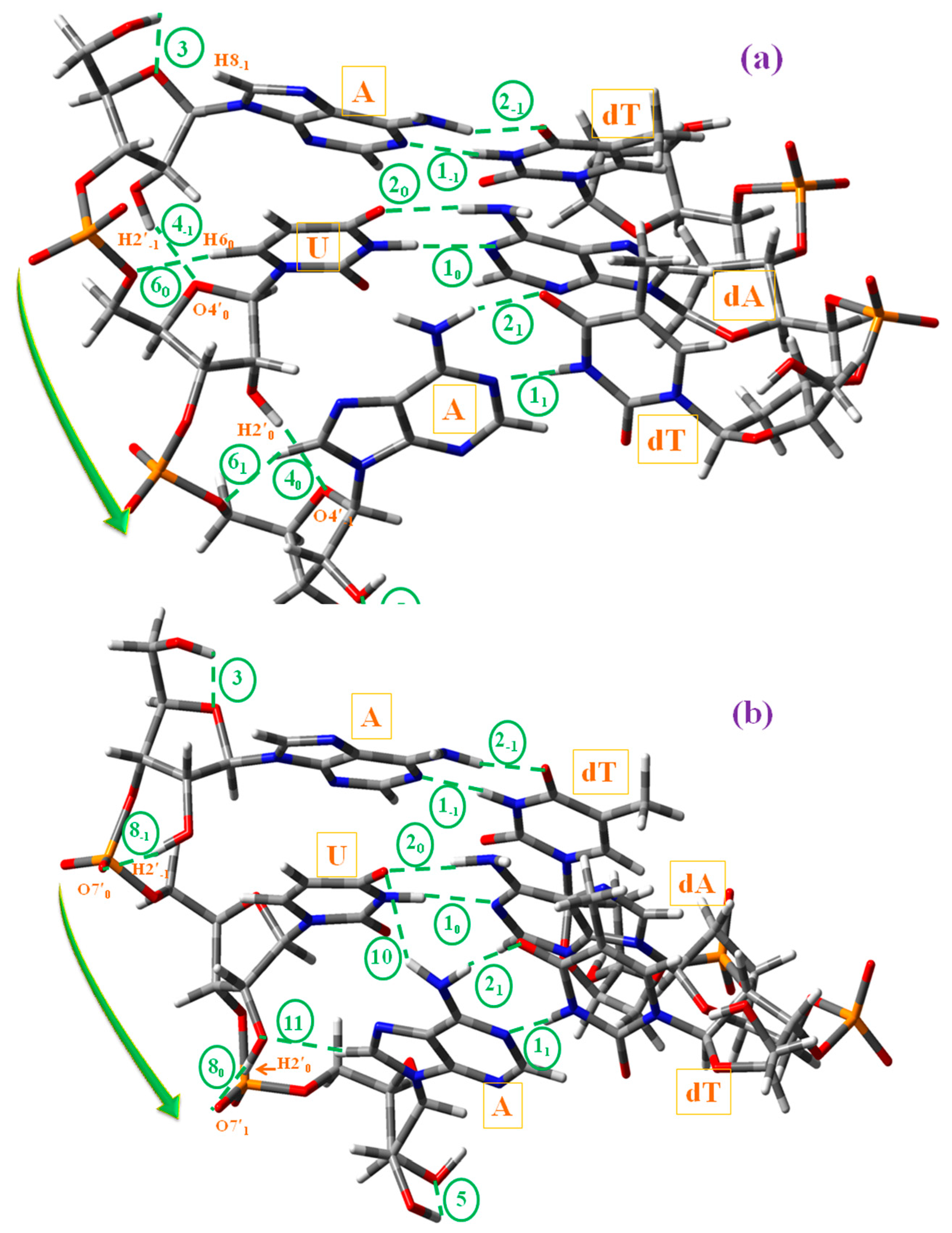 Ijms 20 03477 sch002 Ijms 20 03477 sch002