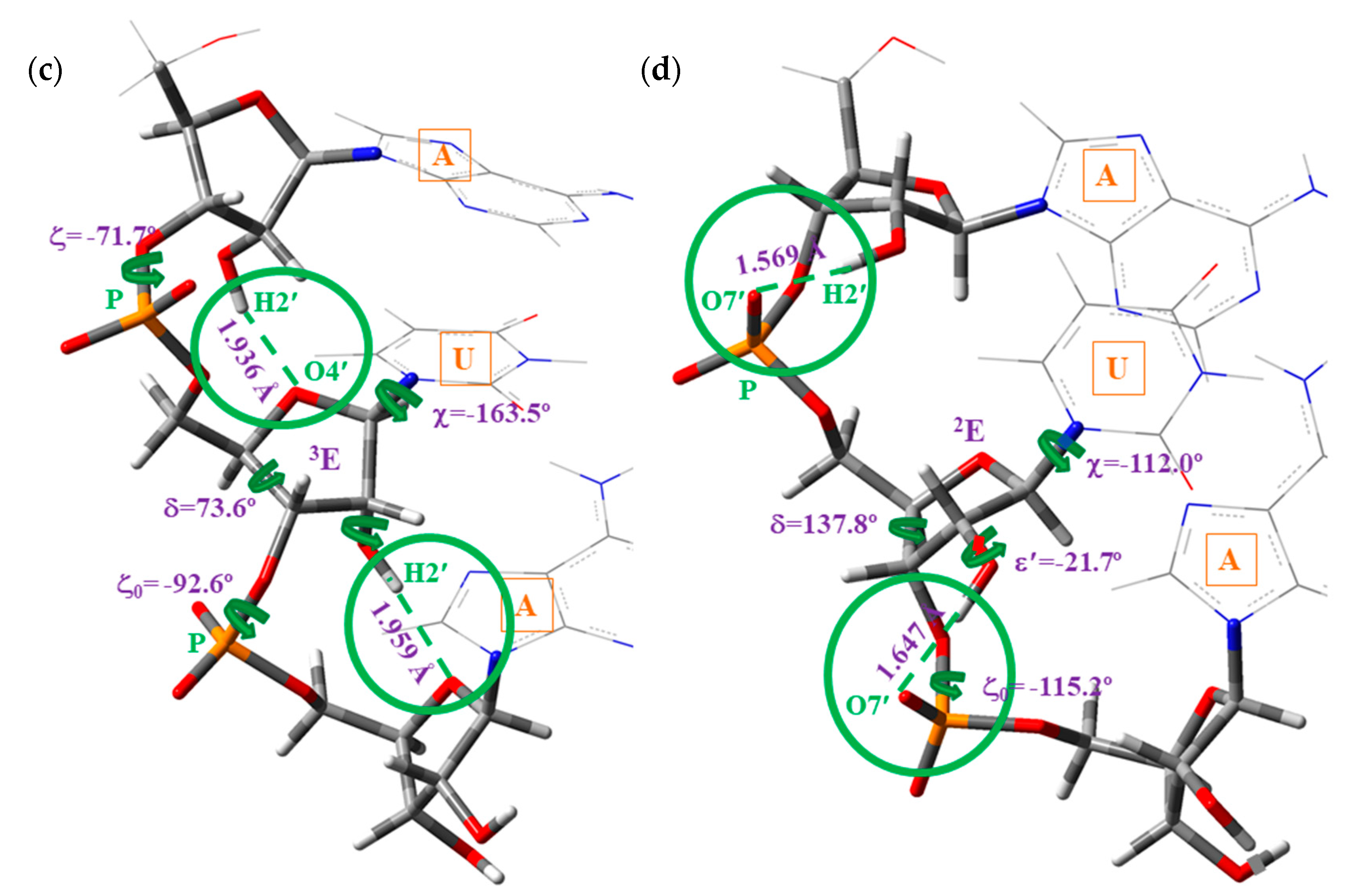 Ijms 20 03477 sch003b Ijms 20 03477 sch003b