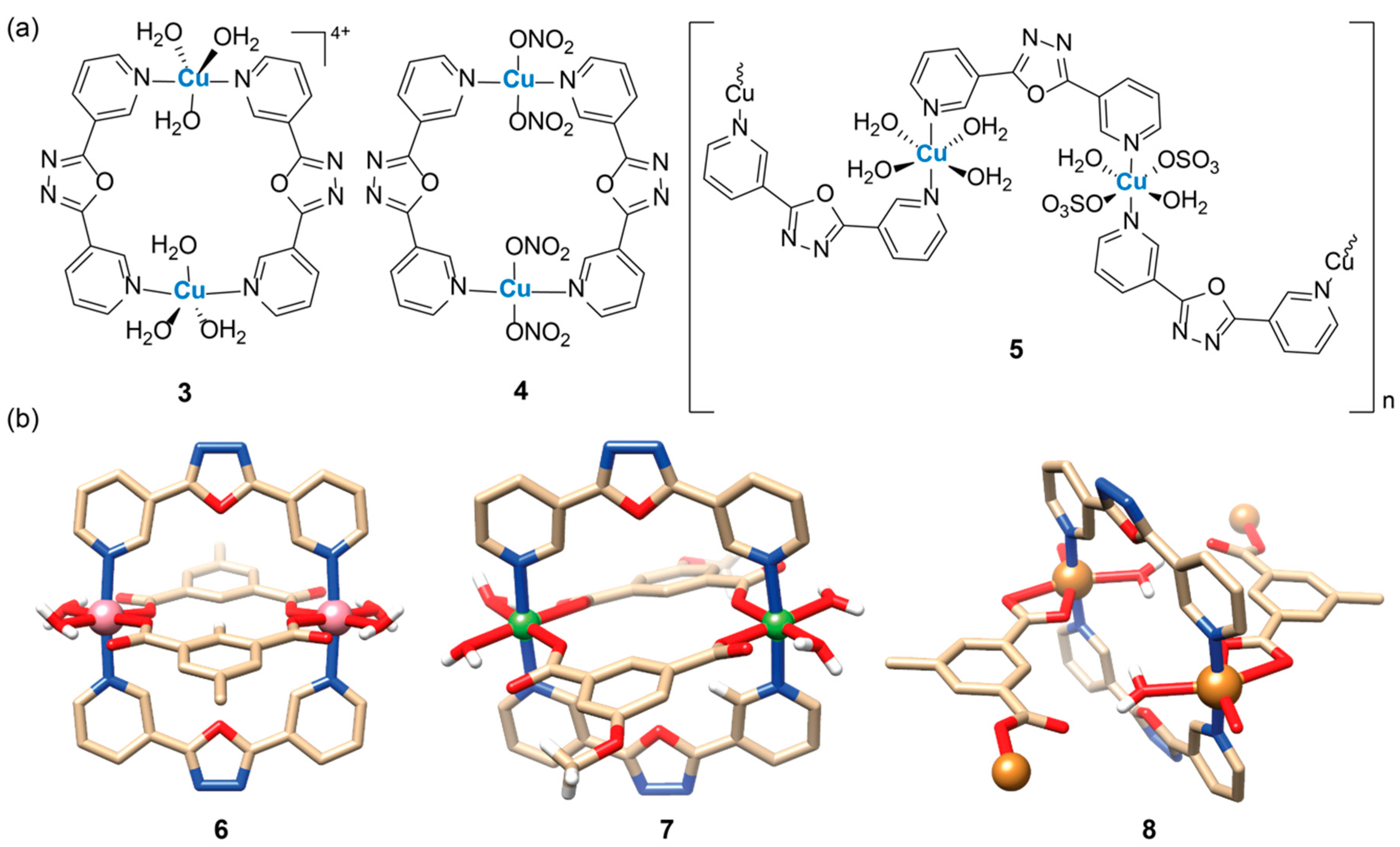 Ijms 20 03483 g003 550