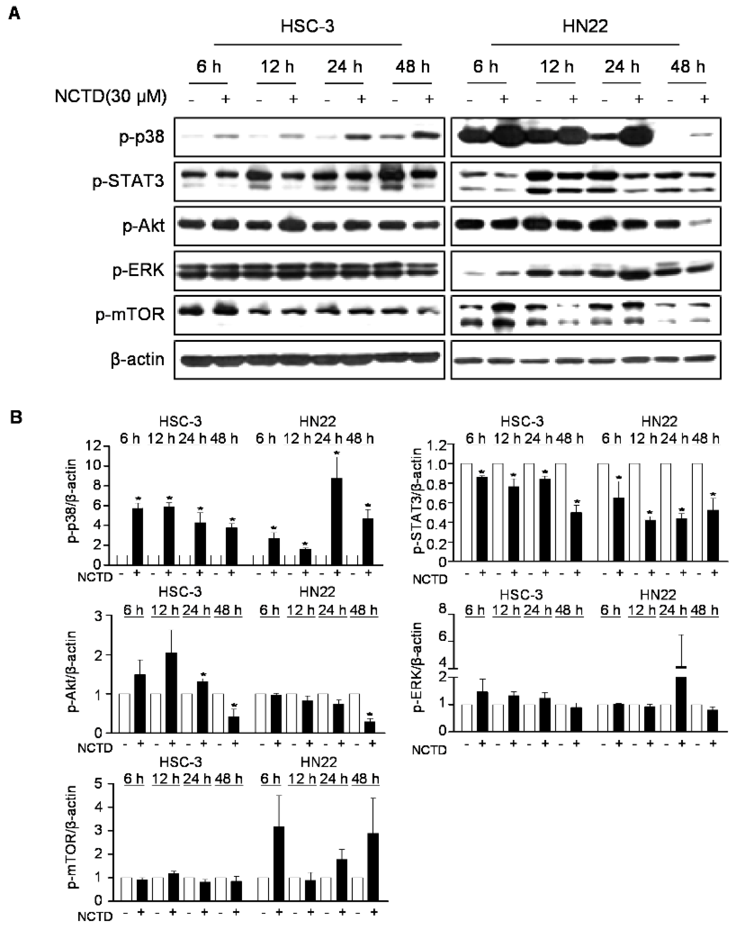 Ijms 20 03487 g003 Ijms 20 03487 g003