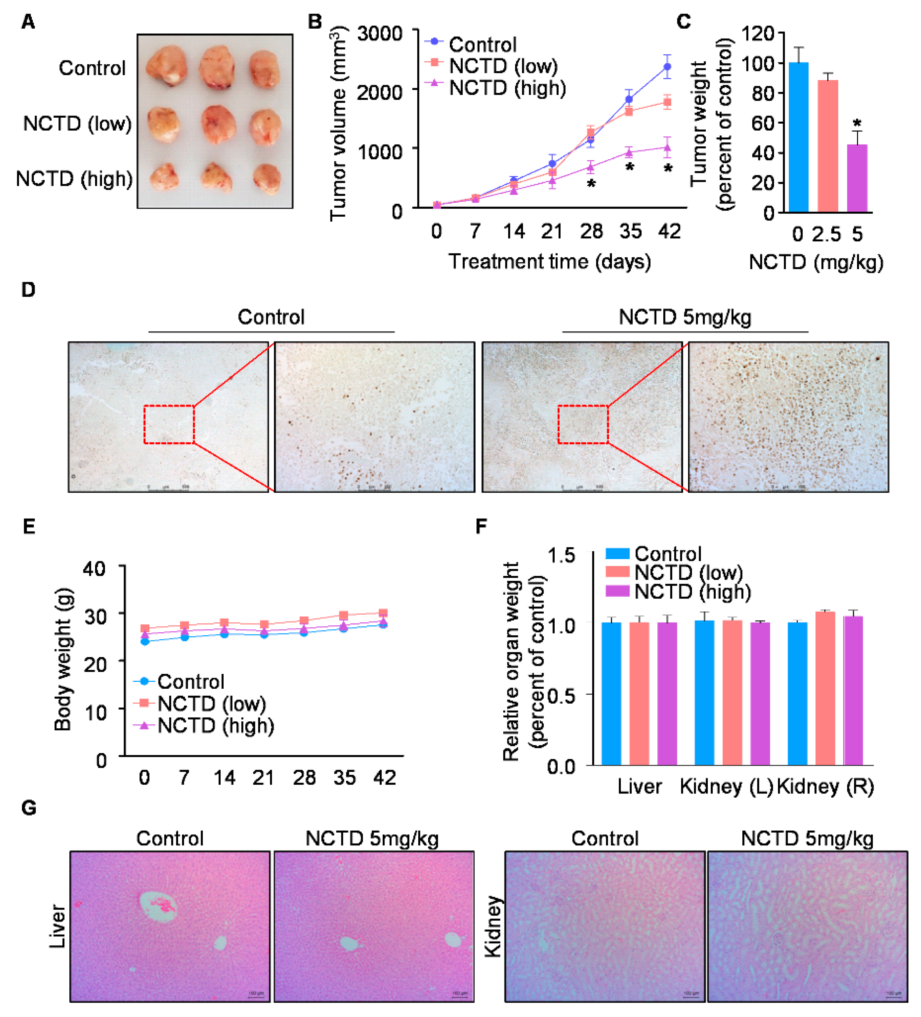 Ijms 20 03487 g005 Ijms 20 03487 g005