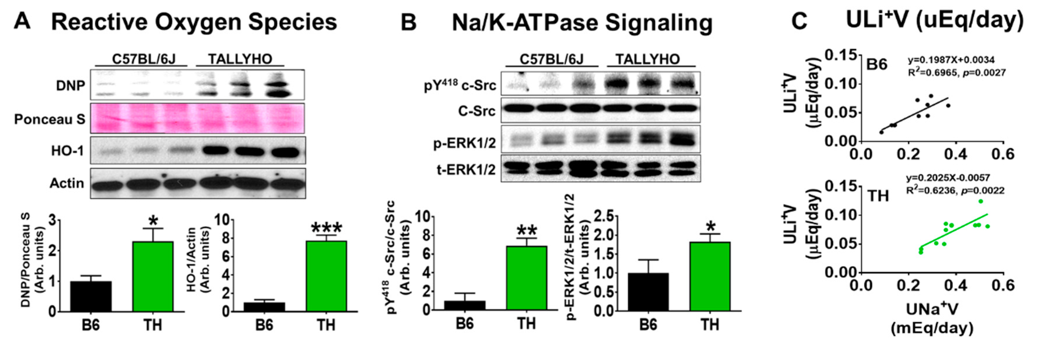 Ijms 20 03495 g002 Ijms 20 03495 g002