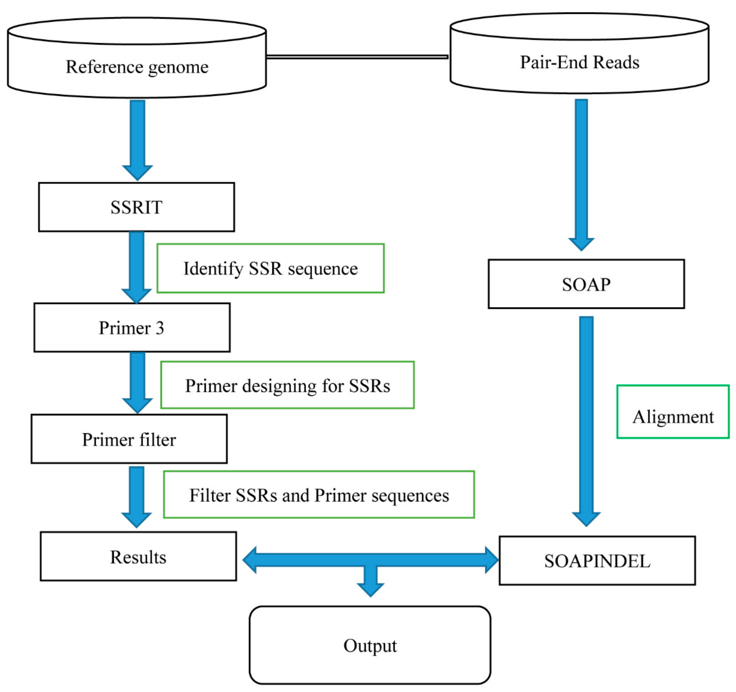 Ijms 20 03497 g002 Ijms 20 03497 g002