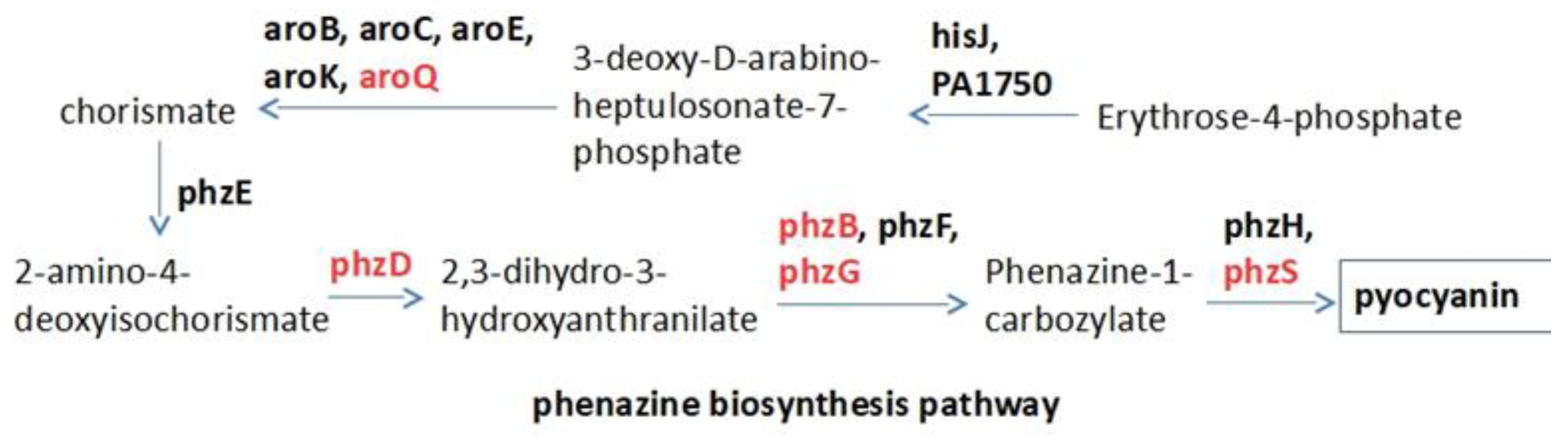 Ijms 20 03504 g001 550