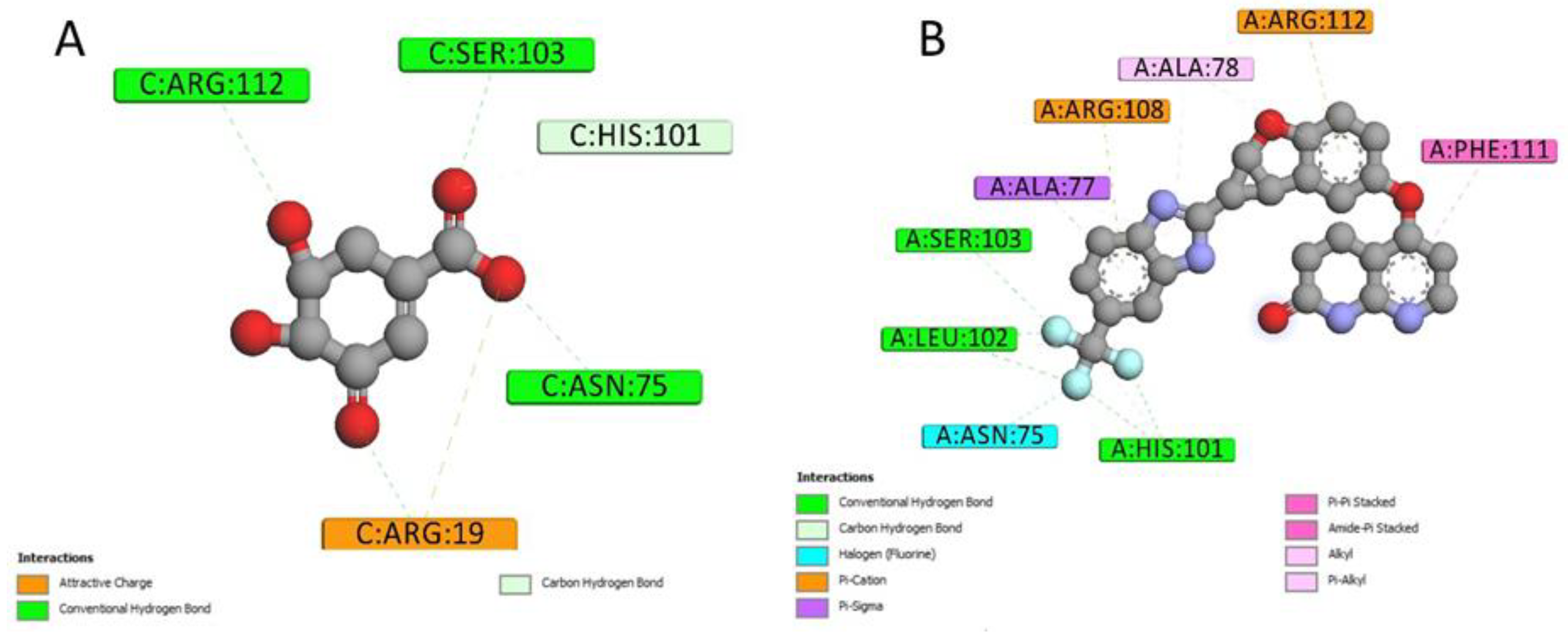 Ijms 20 03504 g005 550