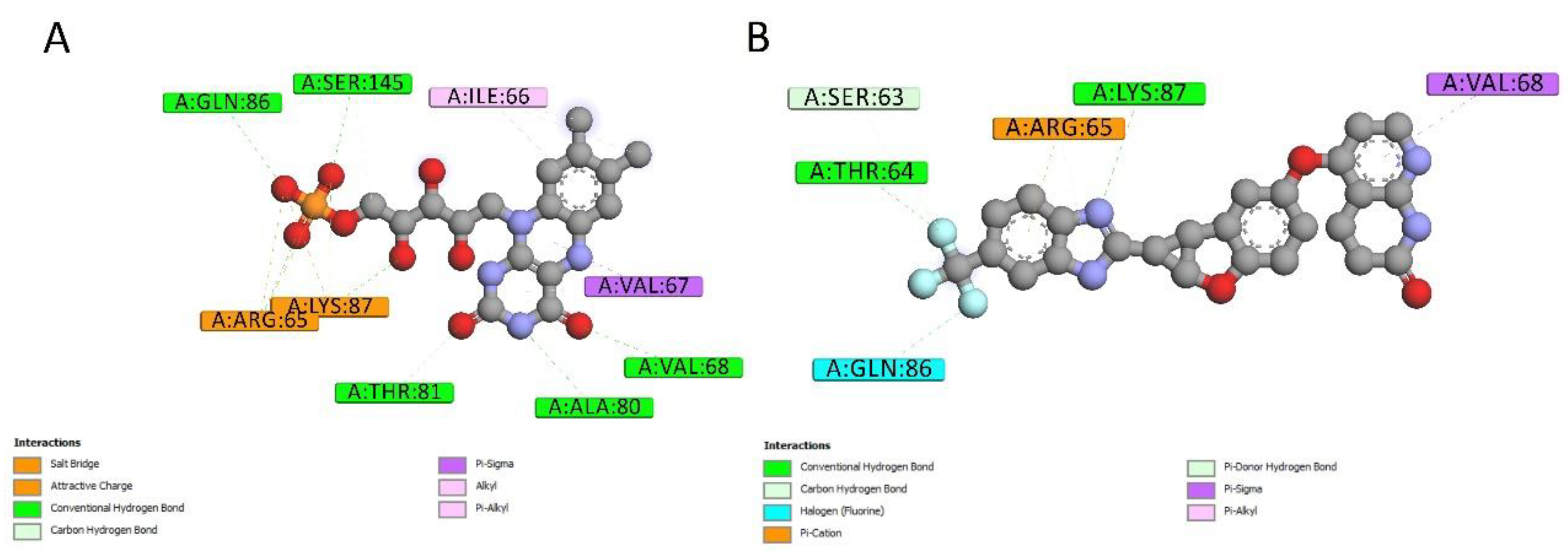 Ijms 20 03504 g006 550