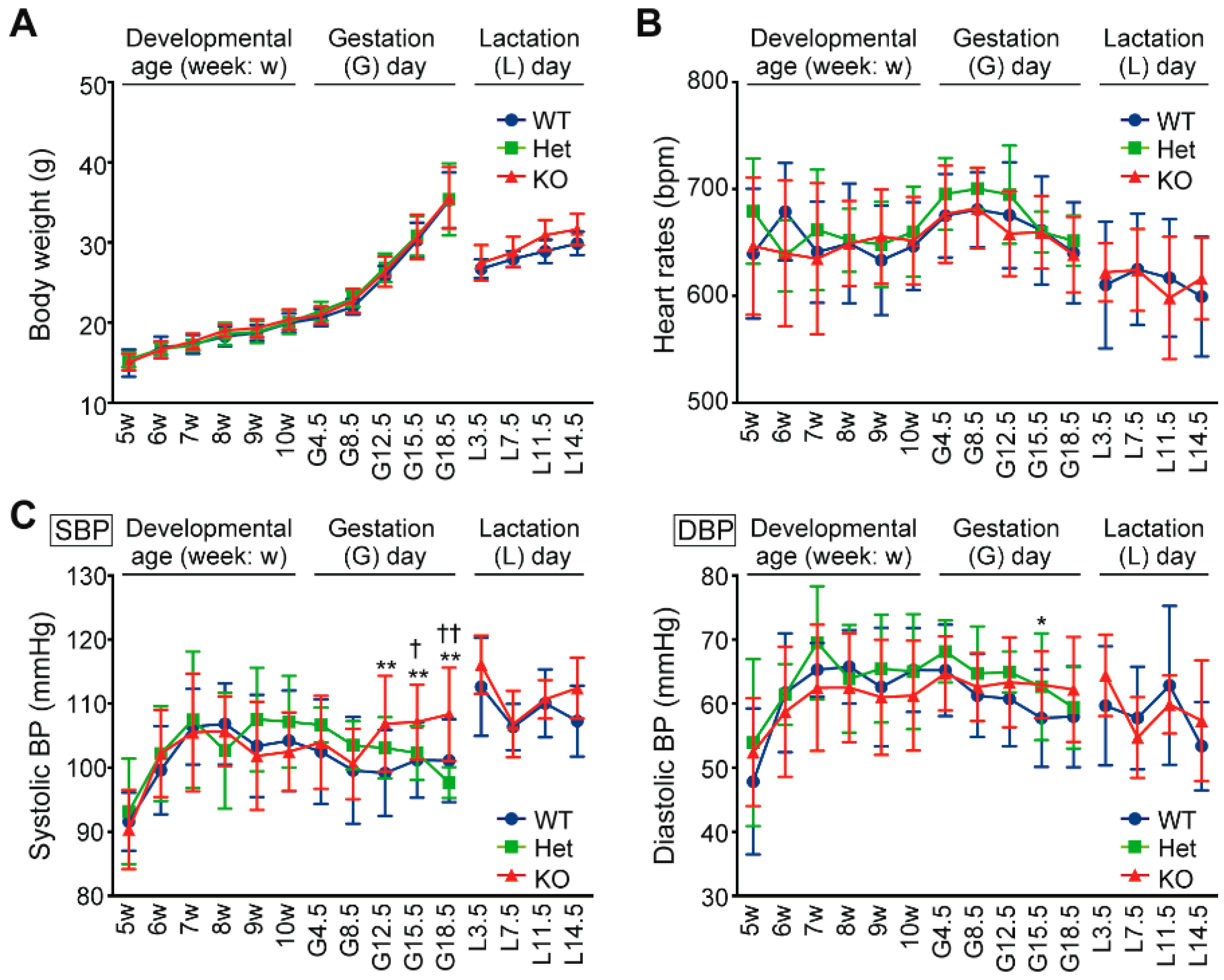 Ijms Free Full Text Preeclampsia Like Features And