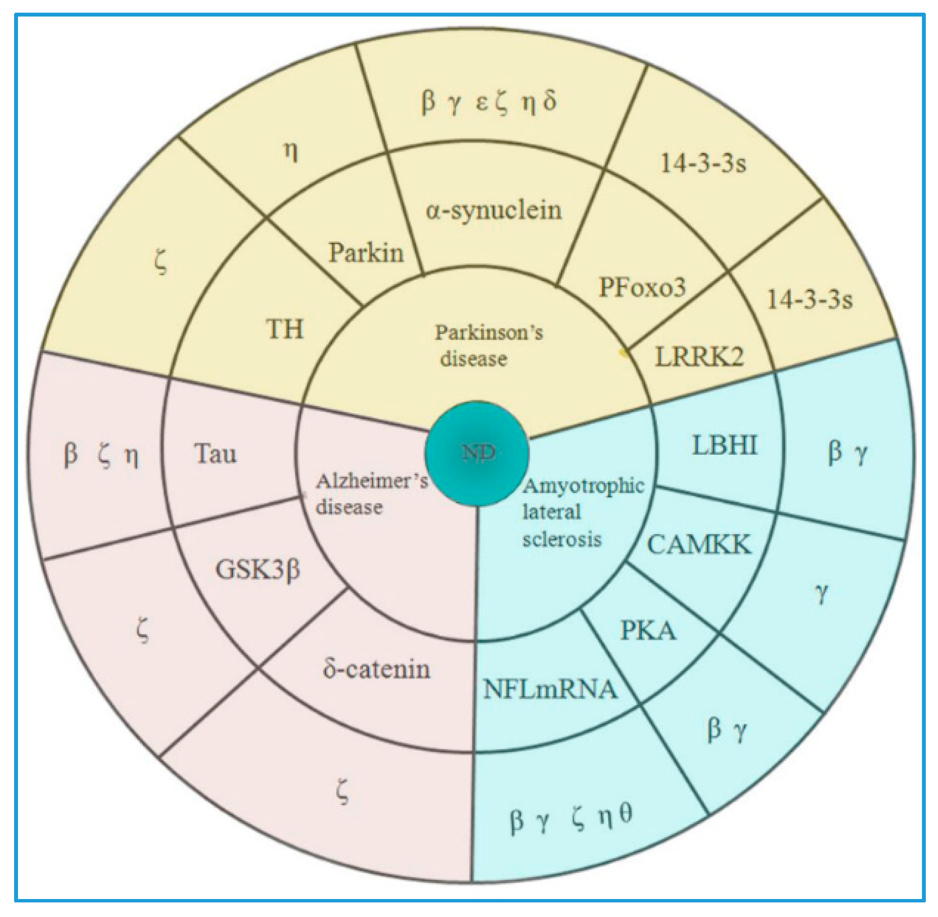 Ijms Free Full Text 14 3 3 Proteins Are On The