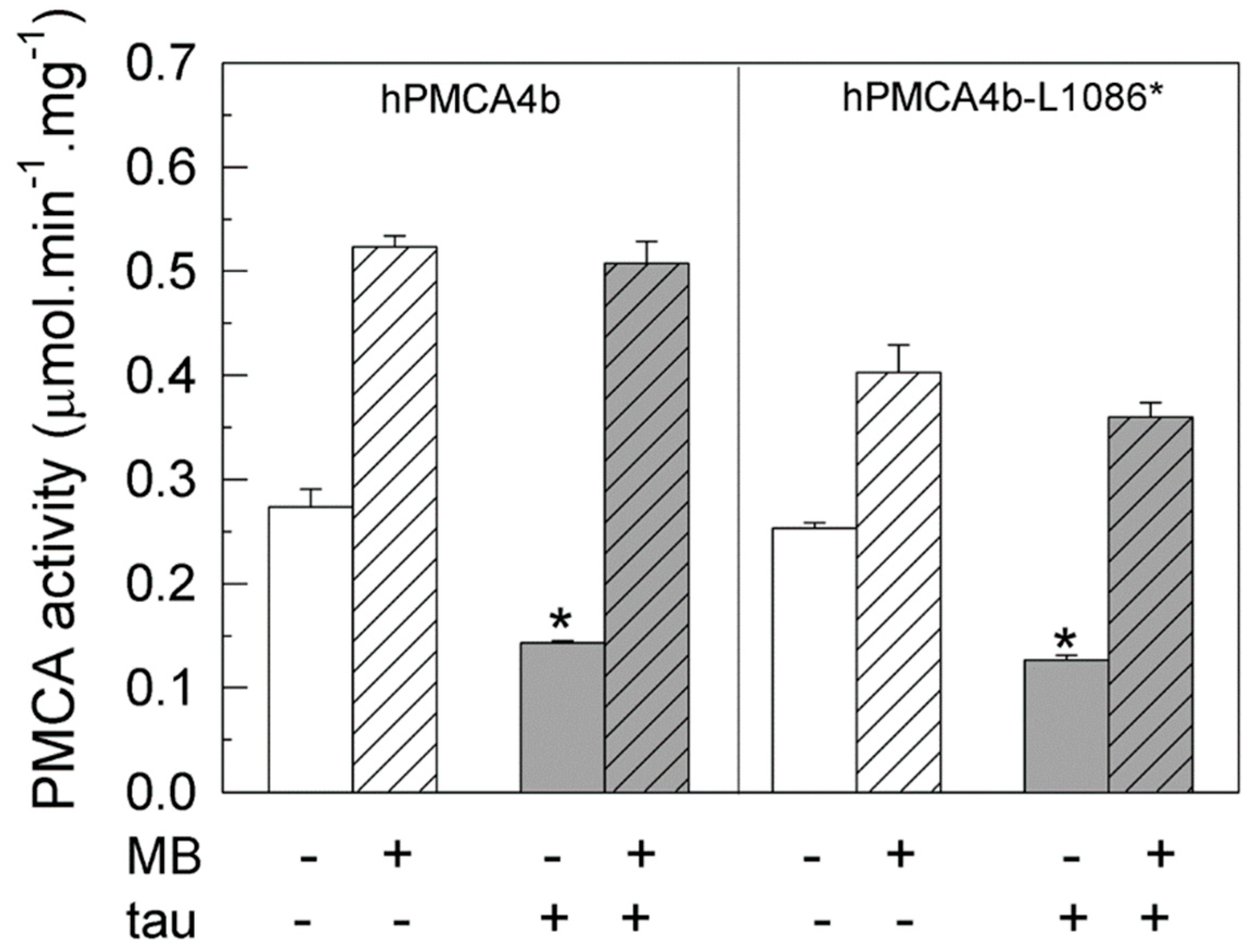 Ijms 20 03521 g004 Ijms 20 03521 g004