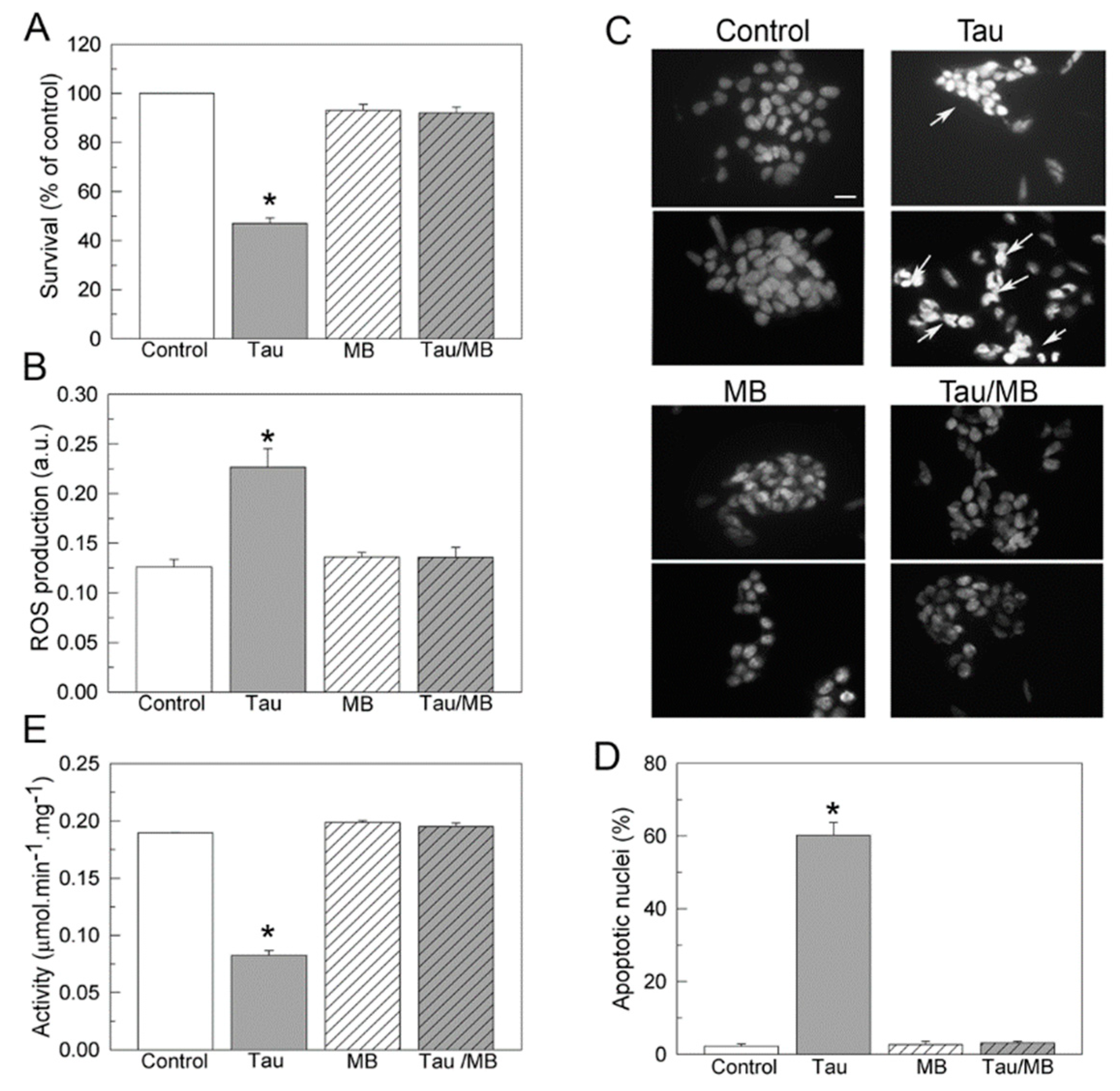 Ijms 20 03521 g005 Ijms 20 03521 g005
