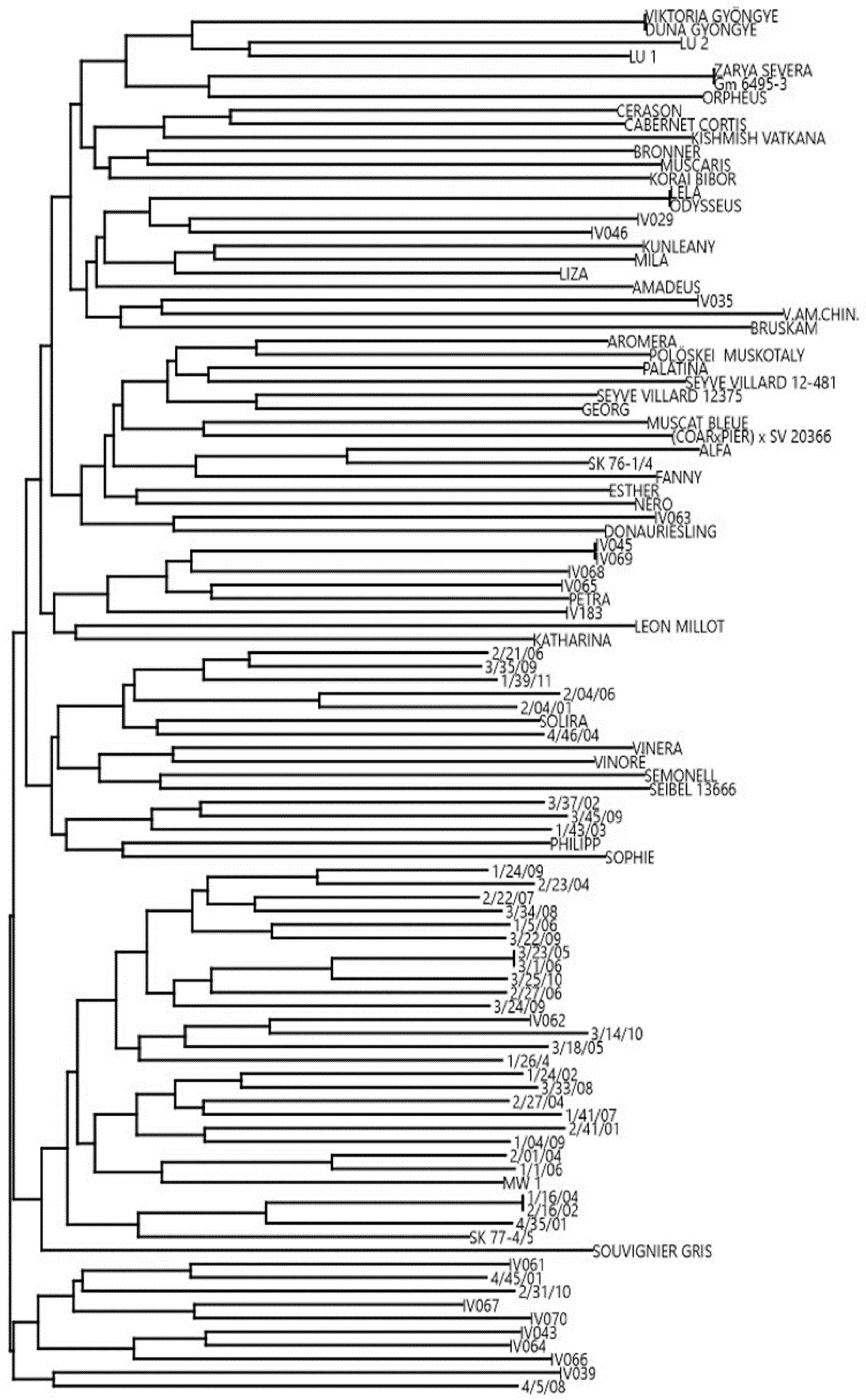 Ijms 20 03526 g001