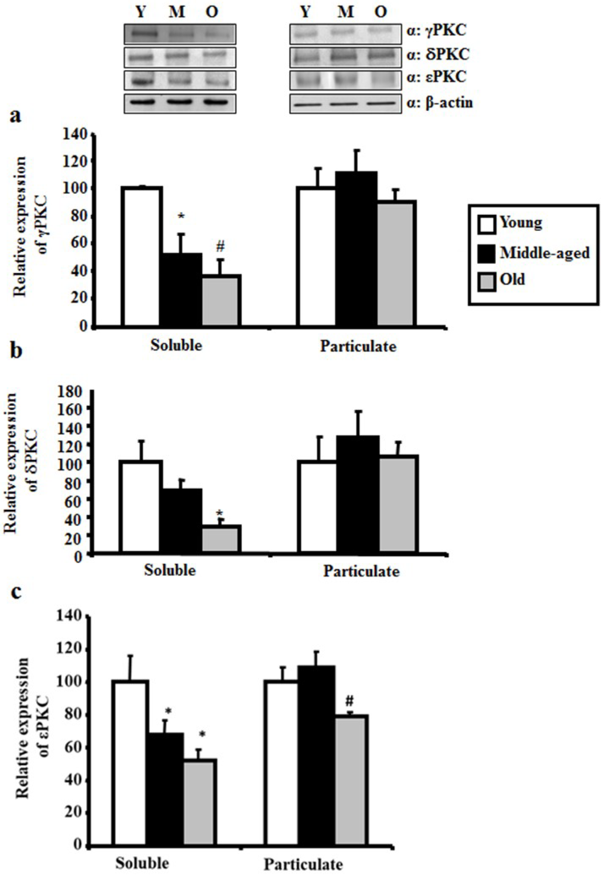 Ijms 20 03544 g002 Ijms 20 03544 g002