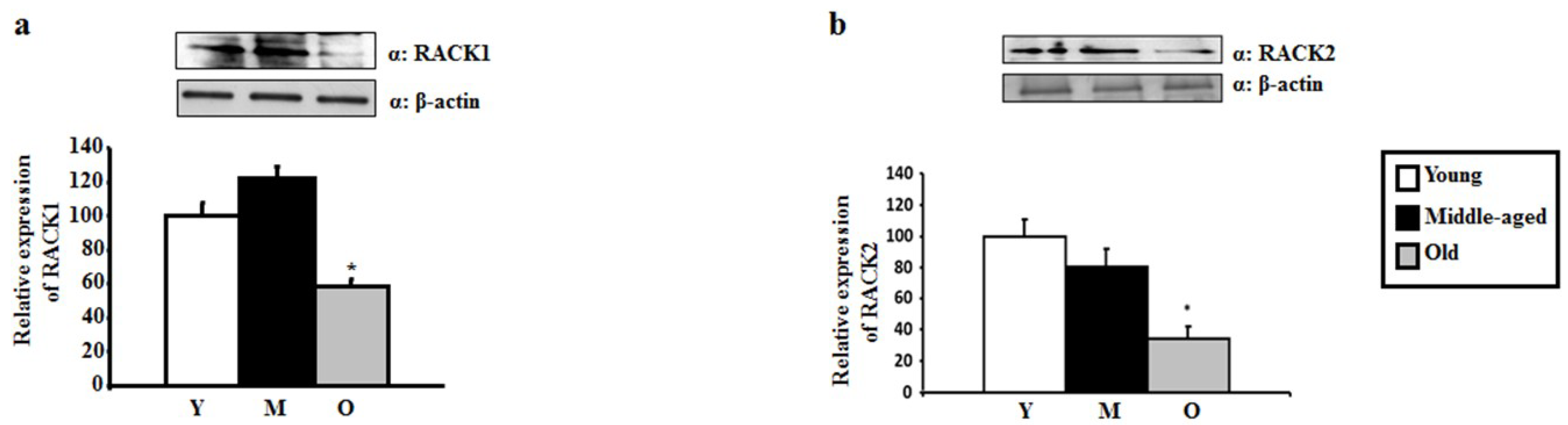 Ijms 20 03544 g003 Ijms 20 03544 g003