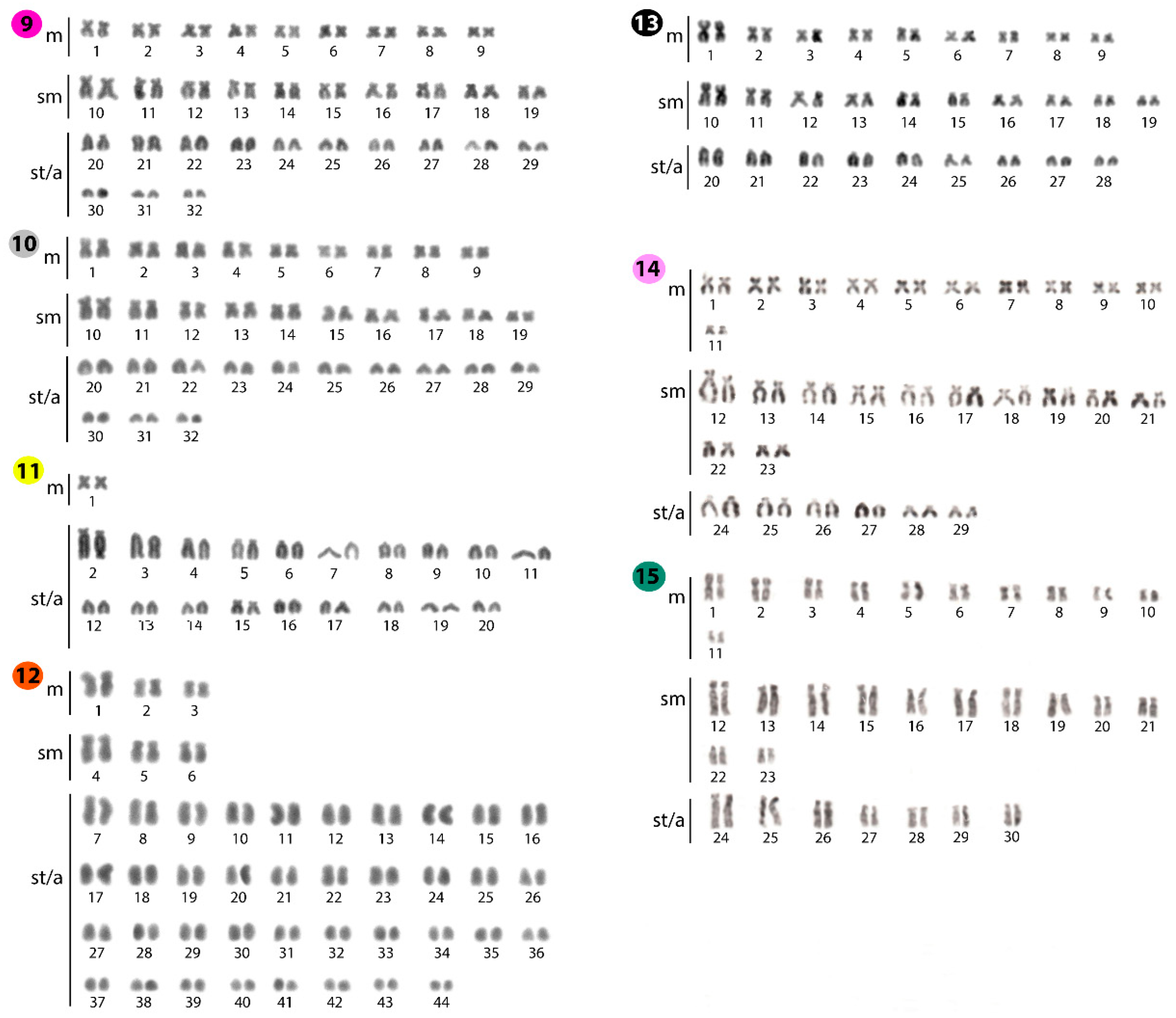 Ijms 20 03545 g002