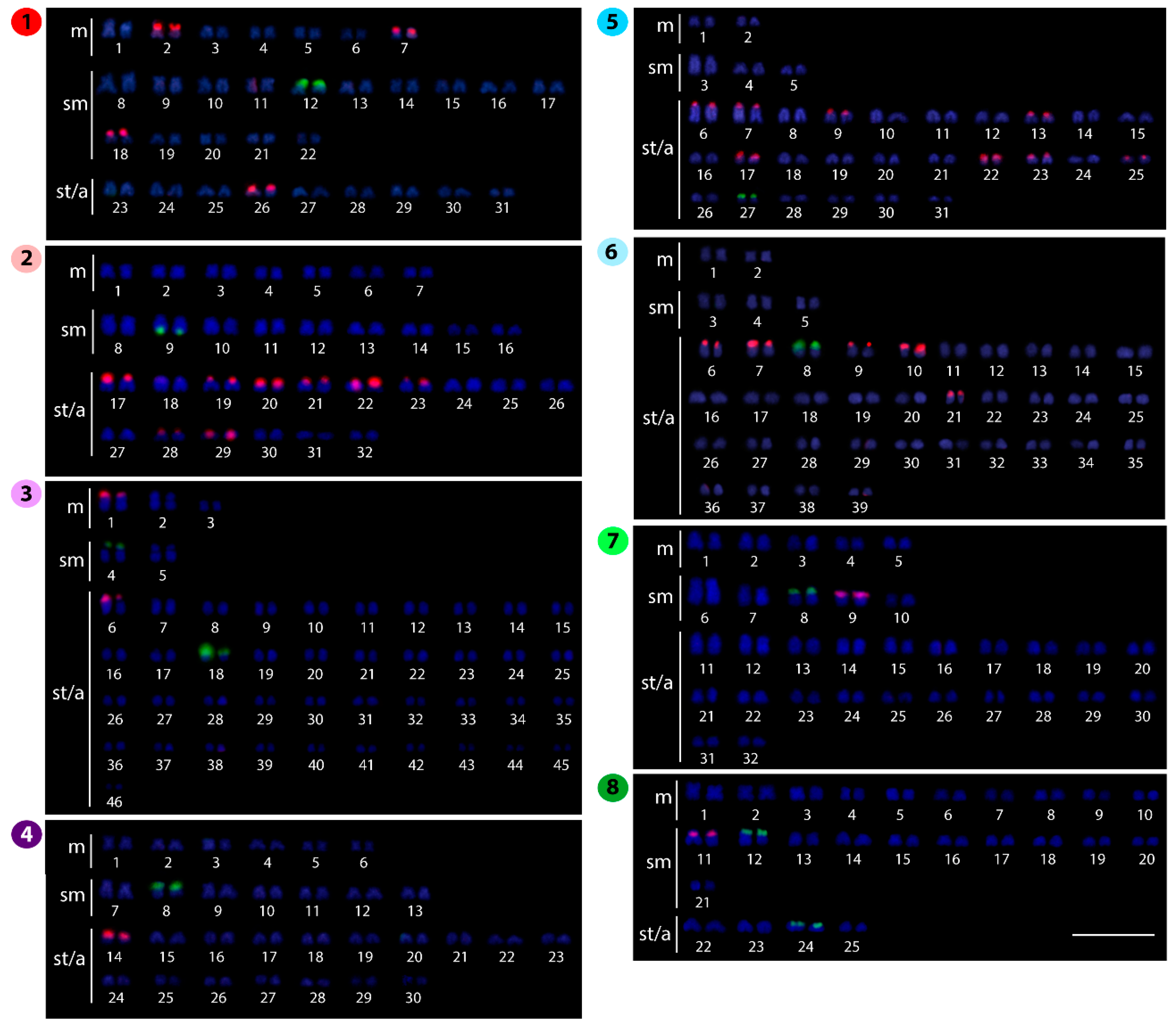 Ijms 20 03545 g003