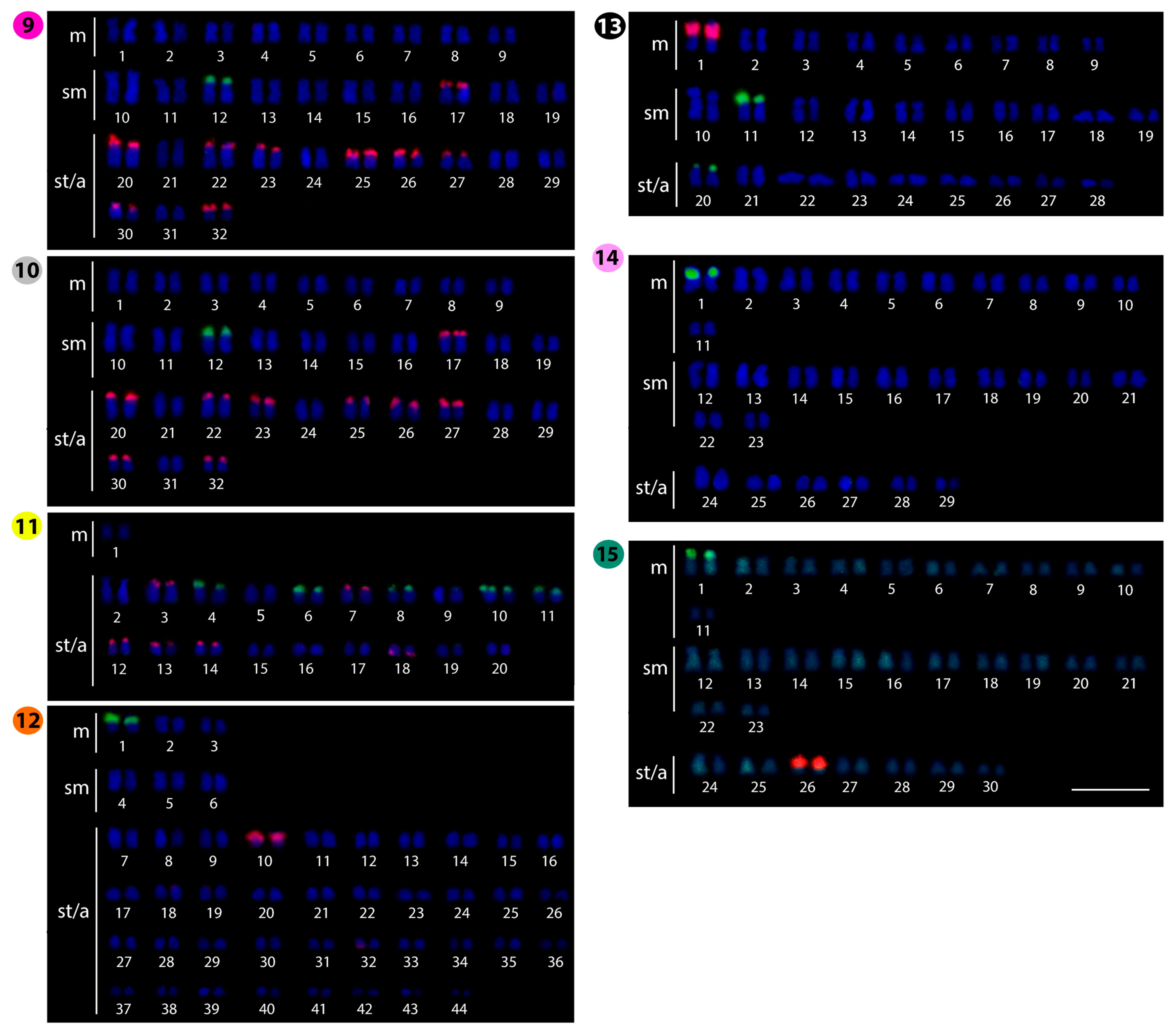Ijms 20 03545 g004