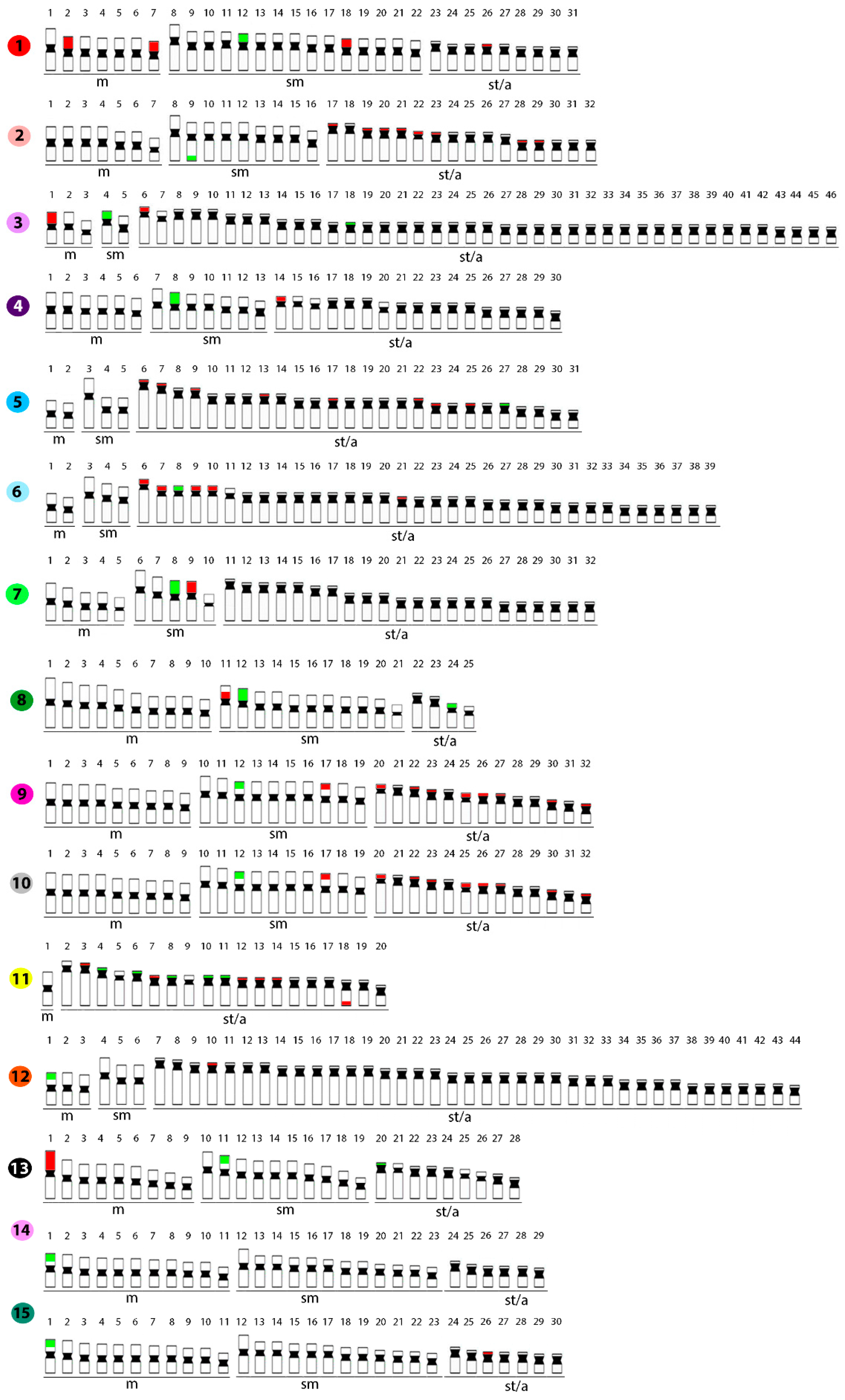 Ijms 20 03545 g005