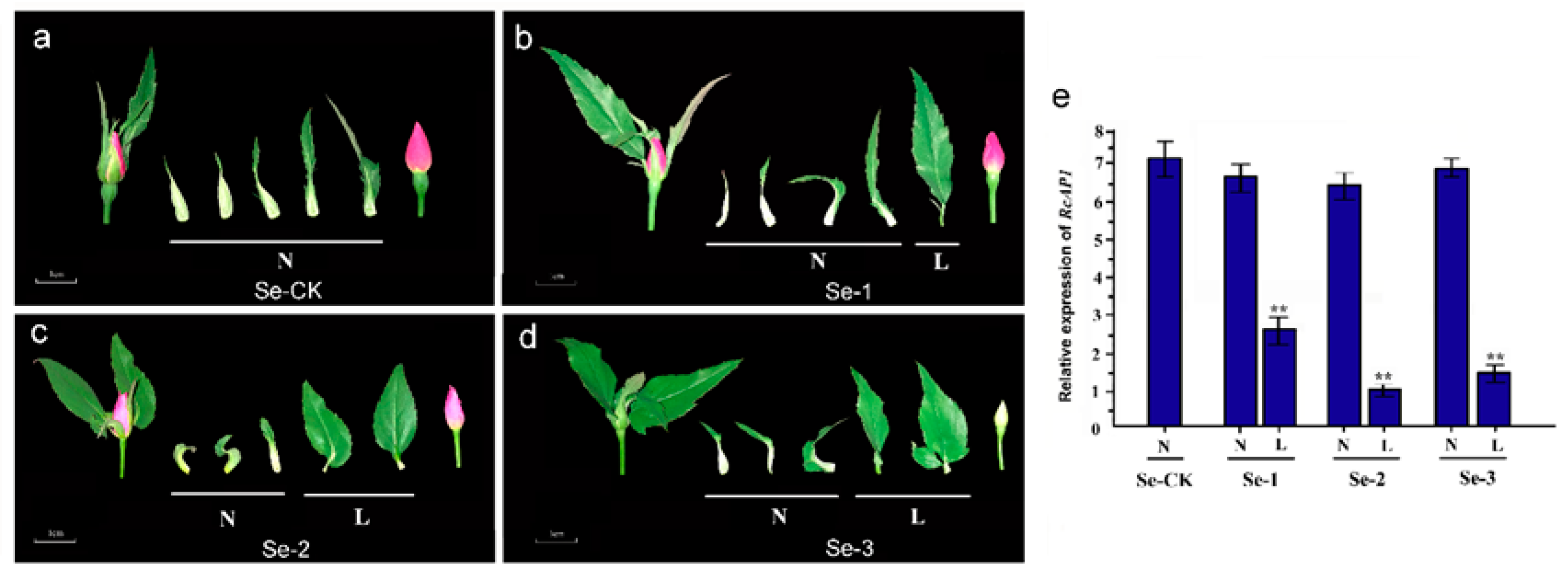 Ijms 20 03557 g004 Ijms 20 03557 g004