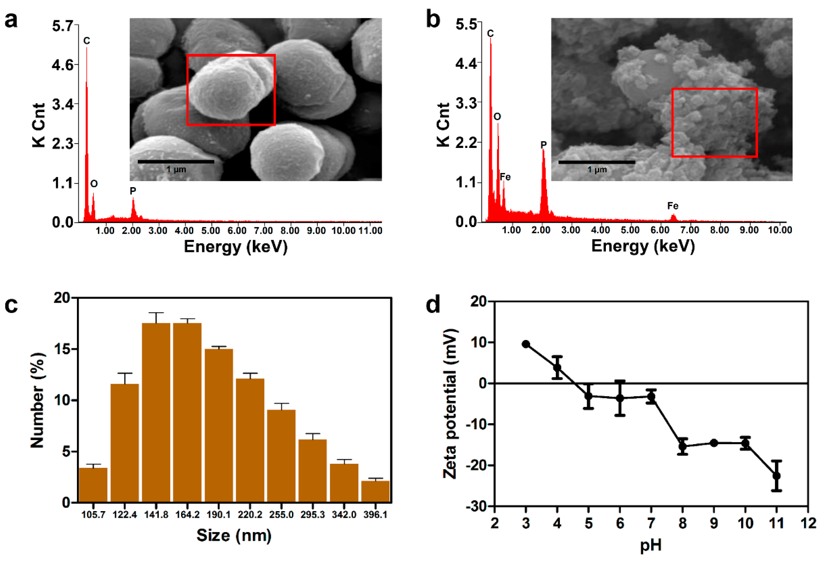 Ijms 20 03566 g002 Ijms 20 03566 g002
