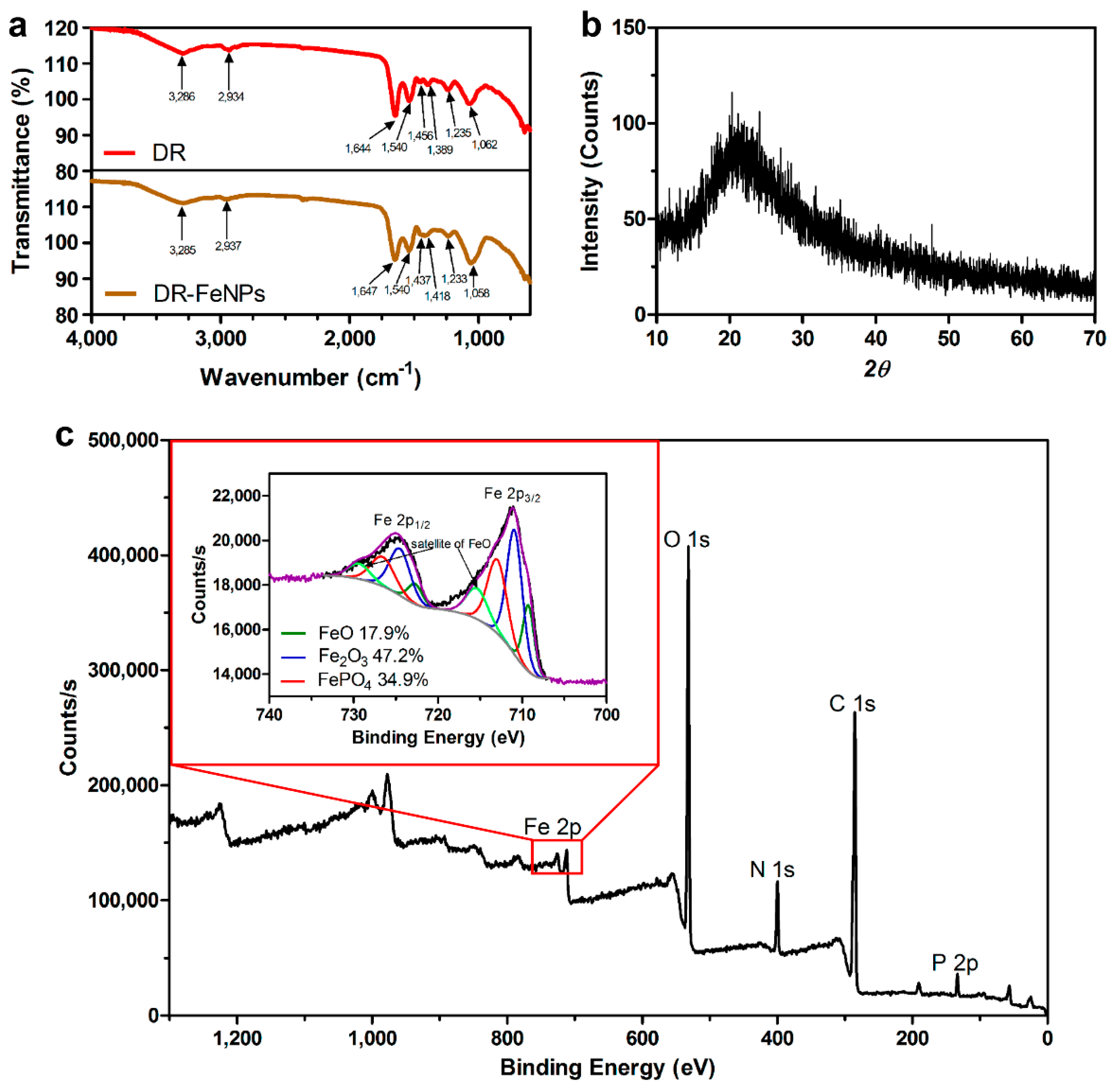 Ijms 20 03566 g003 Ijms 20 03566 g003