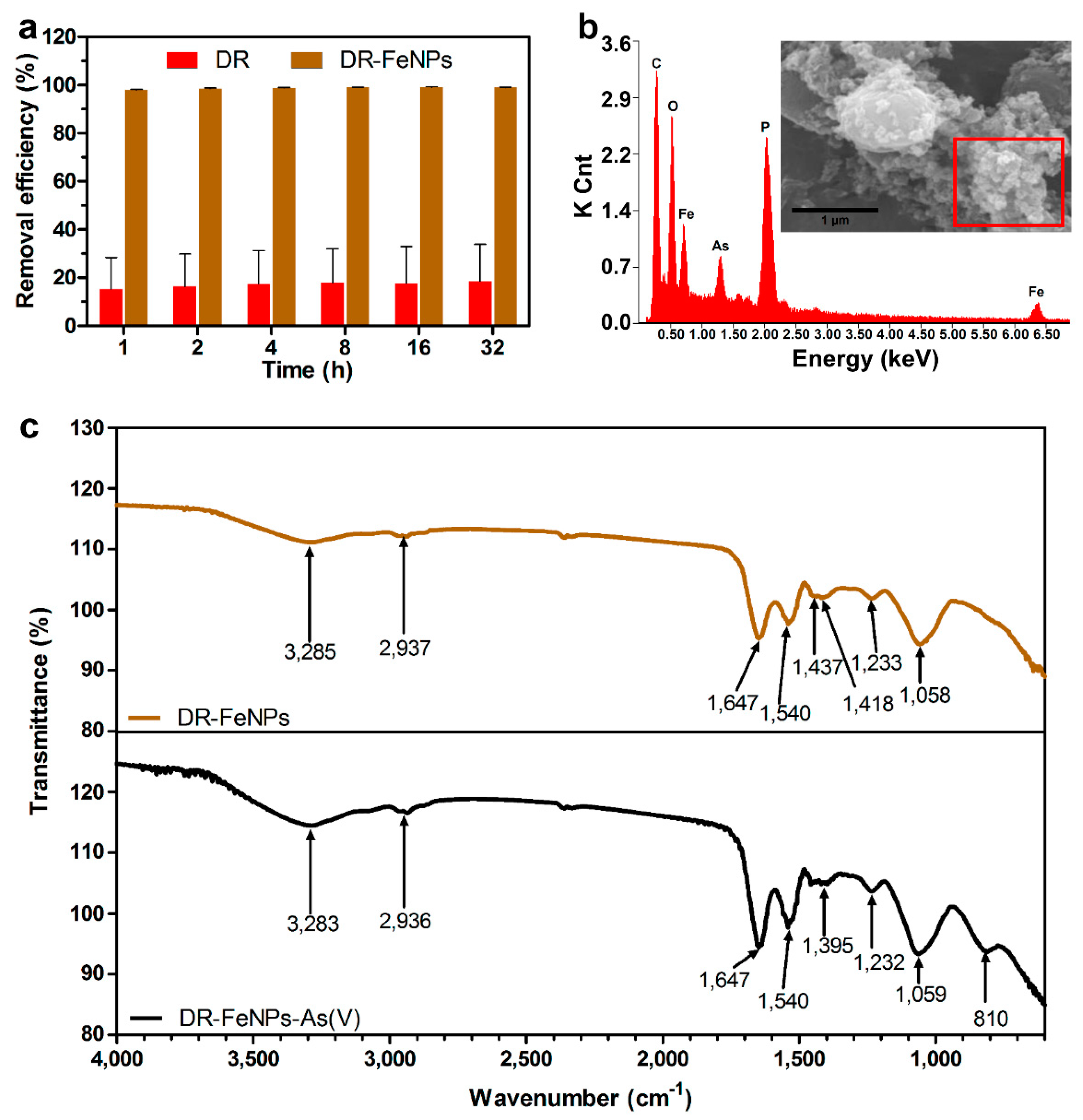 Ijms 20 03566 g006 Ijms 20 03566 g006