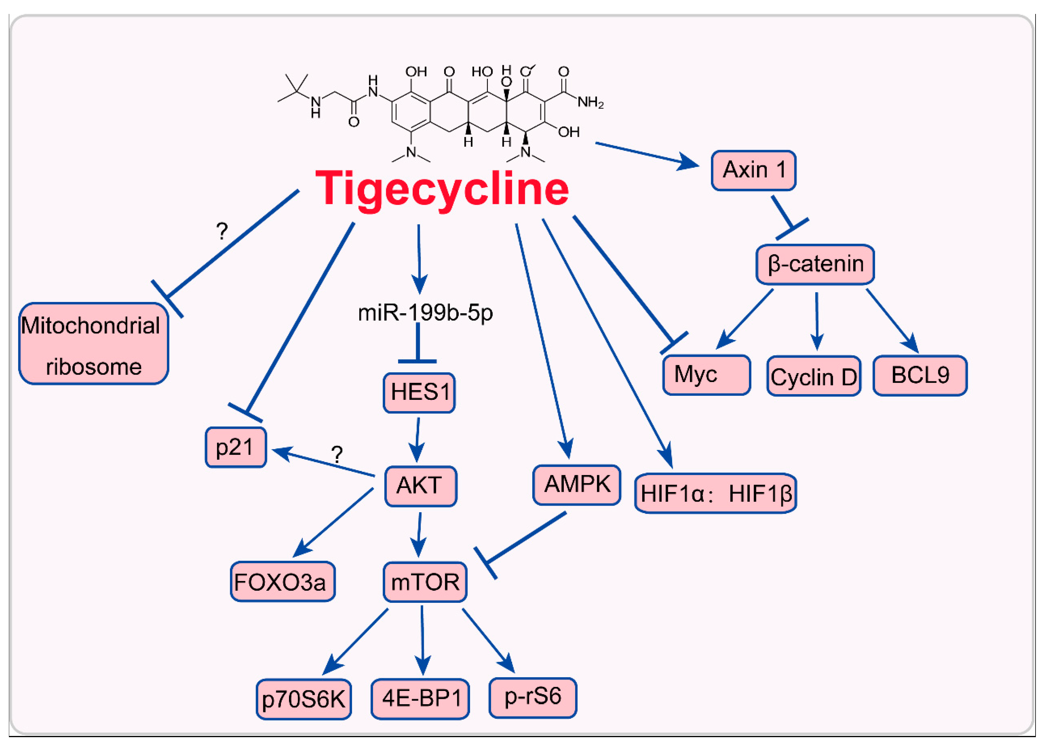 Ijms 20 03577 g002 Ijms 20 03577 g002