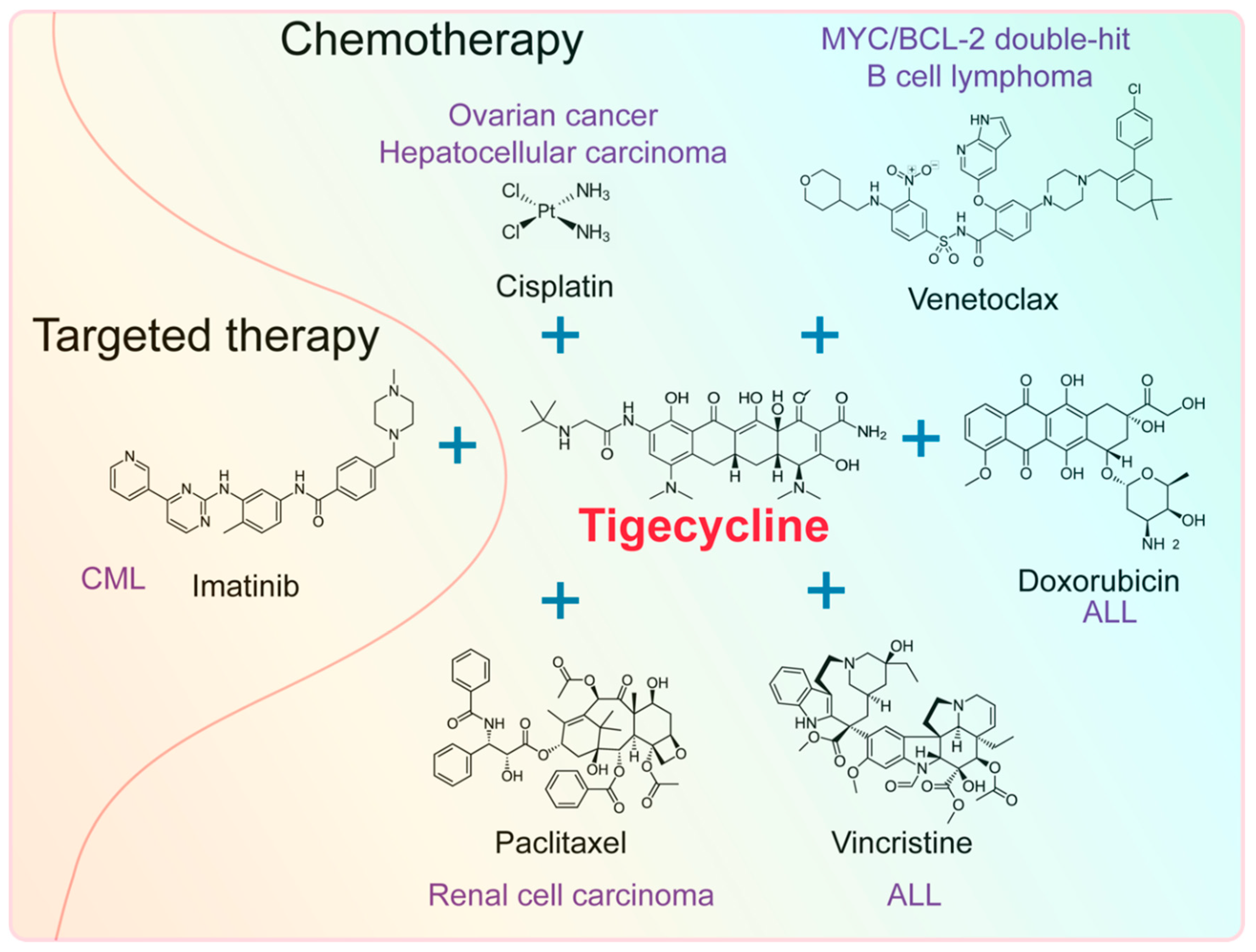 Ijms 20 03577 g004 Ijms 20 03577 g004