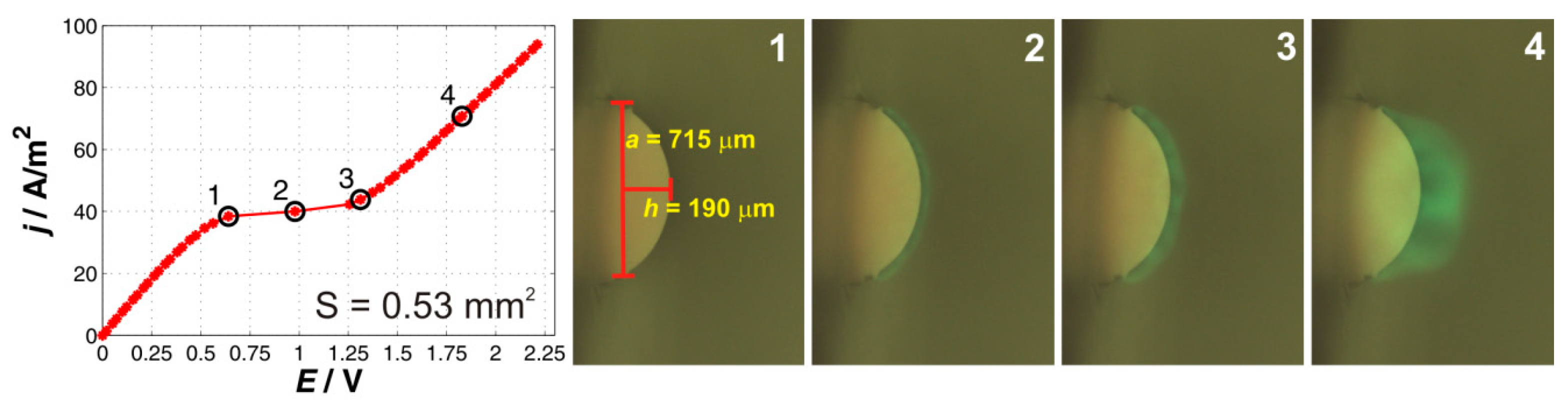 Ijms 20 03579 g001 Ijms 20 03579 g001