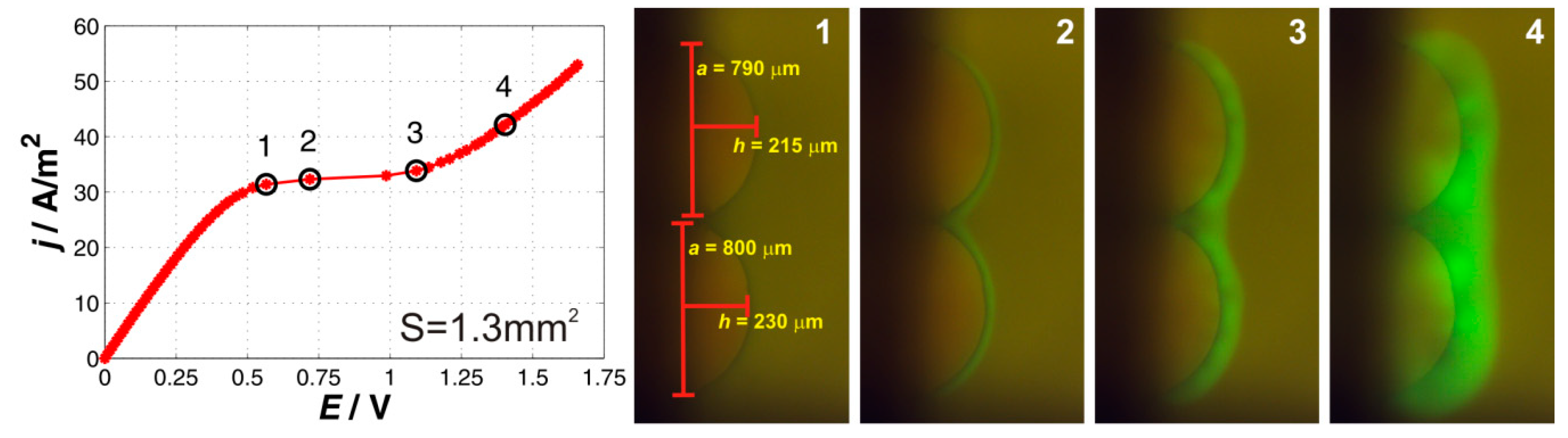 Ijms 20 03579 g002 Ijms 20 03579 g002