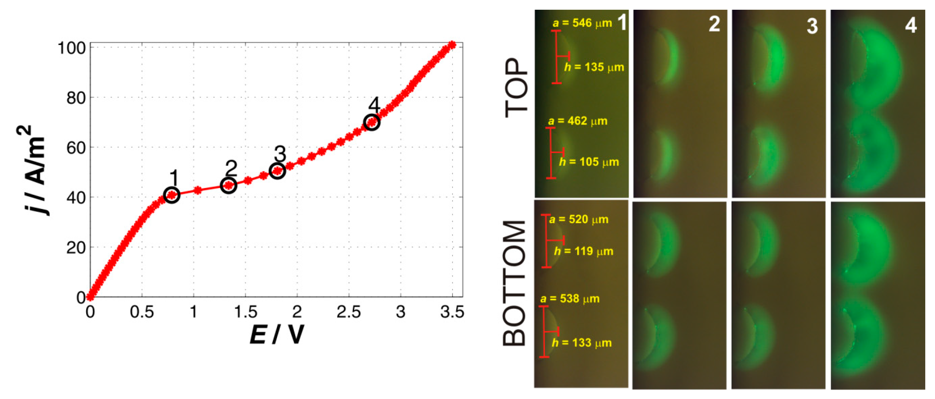 Ijms 20 03579 g004 Ijms 20 03579 g004