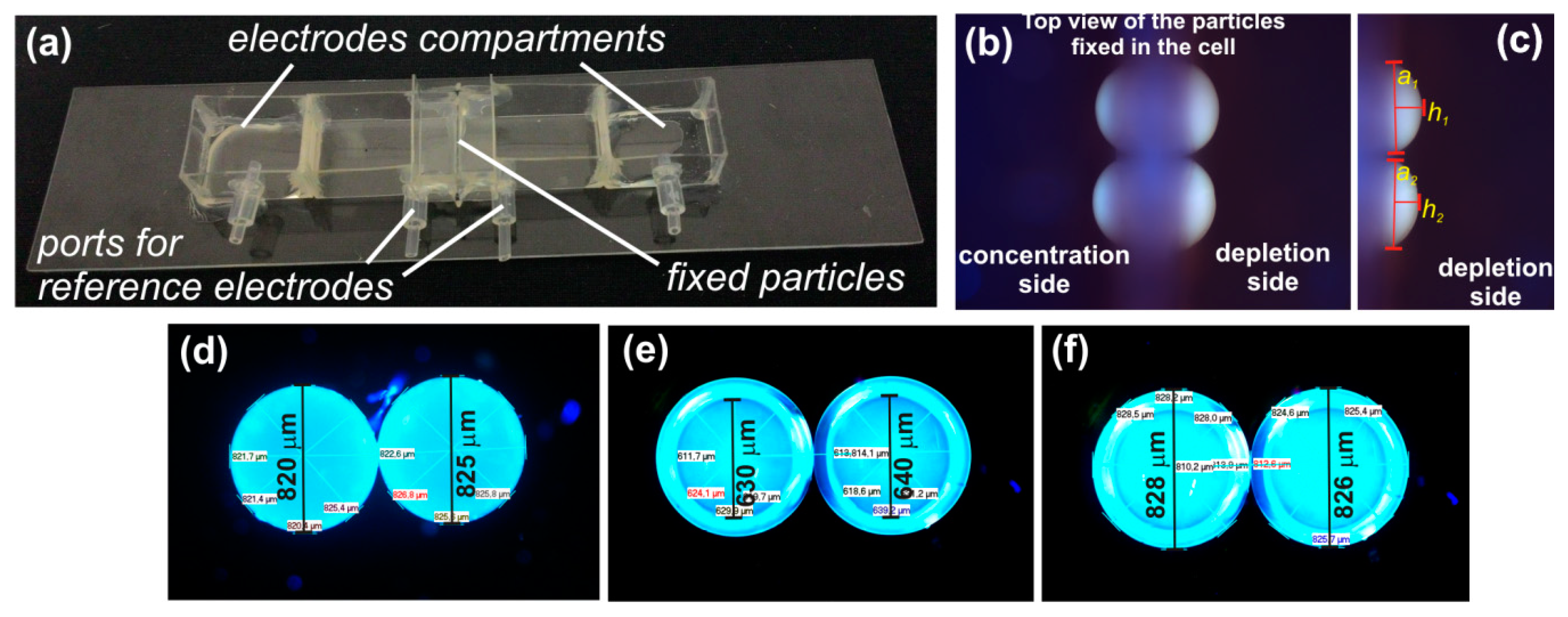Ijms 20 03579 g007 Ijms 20 03579 g007