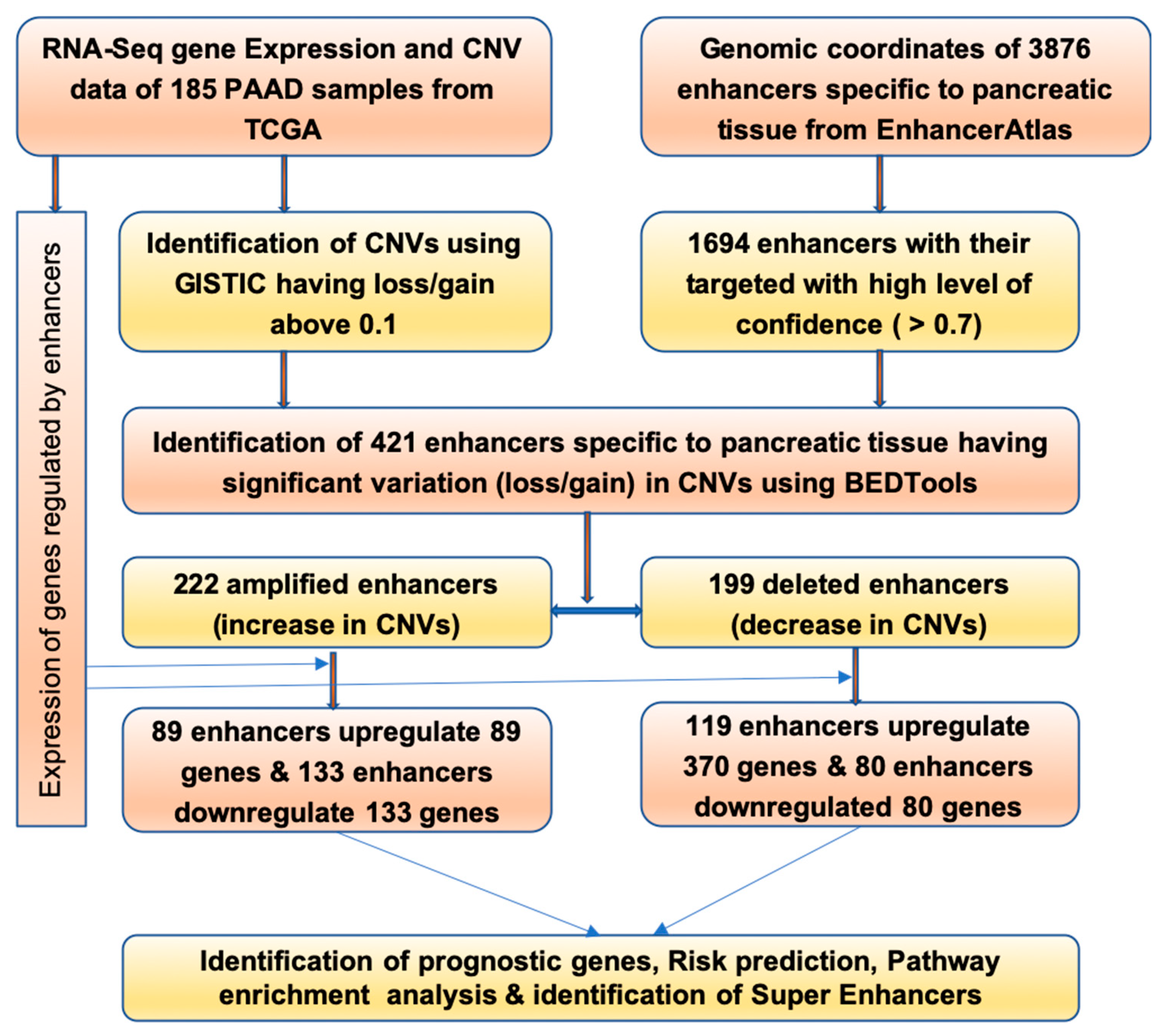 Ijms 20 03582 g005