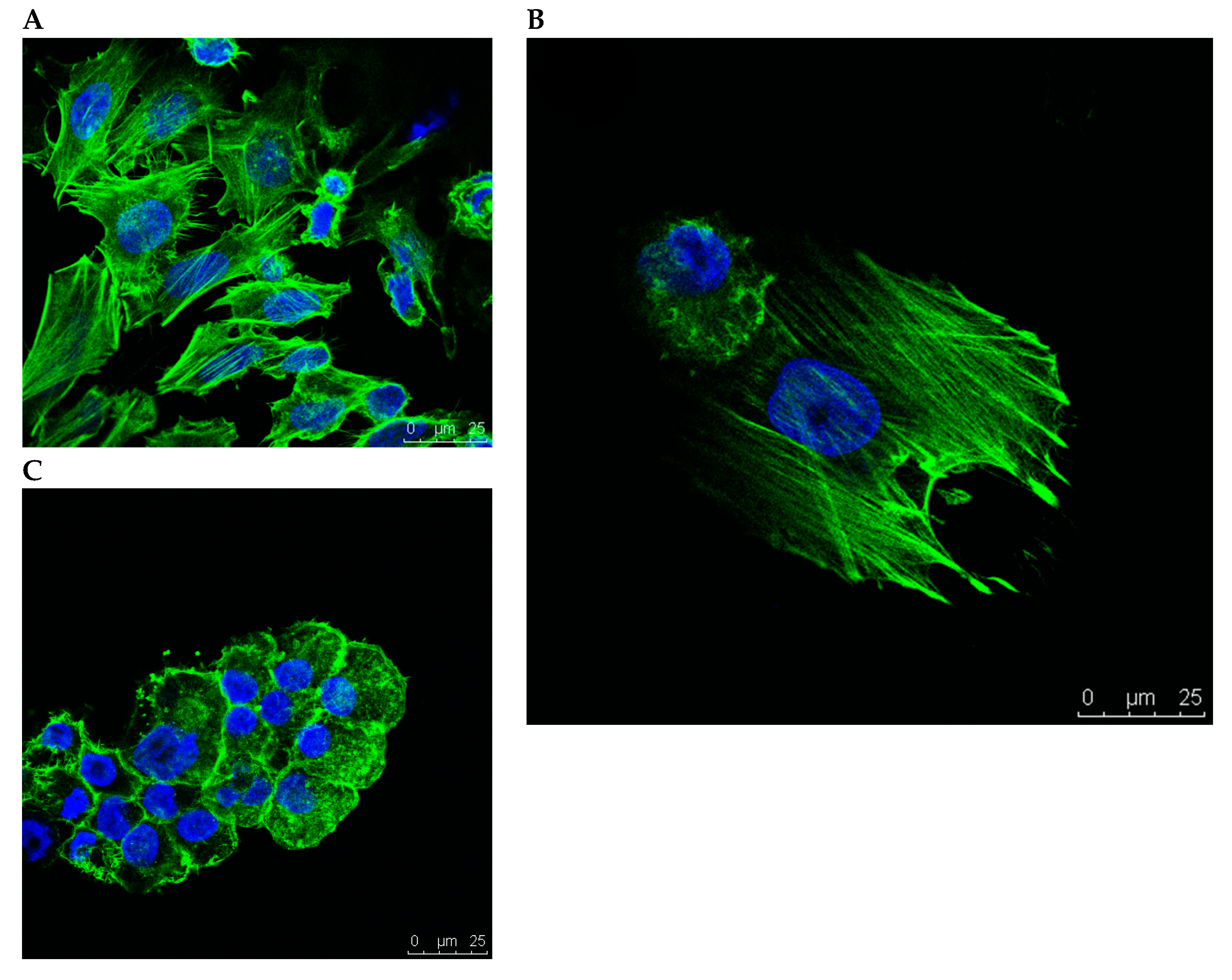 Ijms 20 03601 g003 Ijms 20 03601 g003