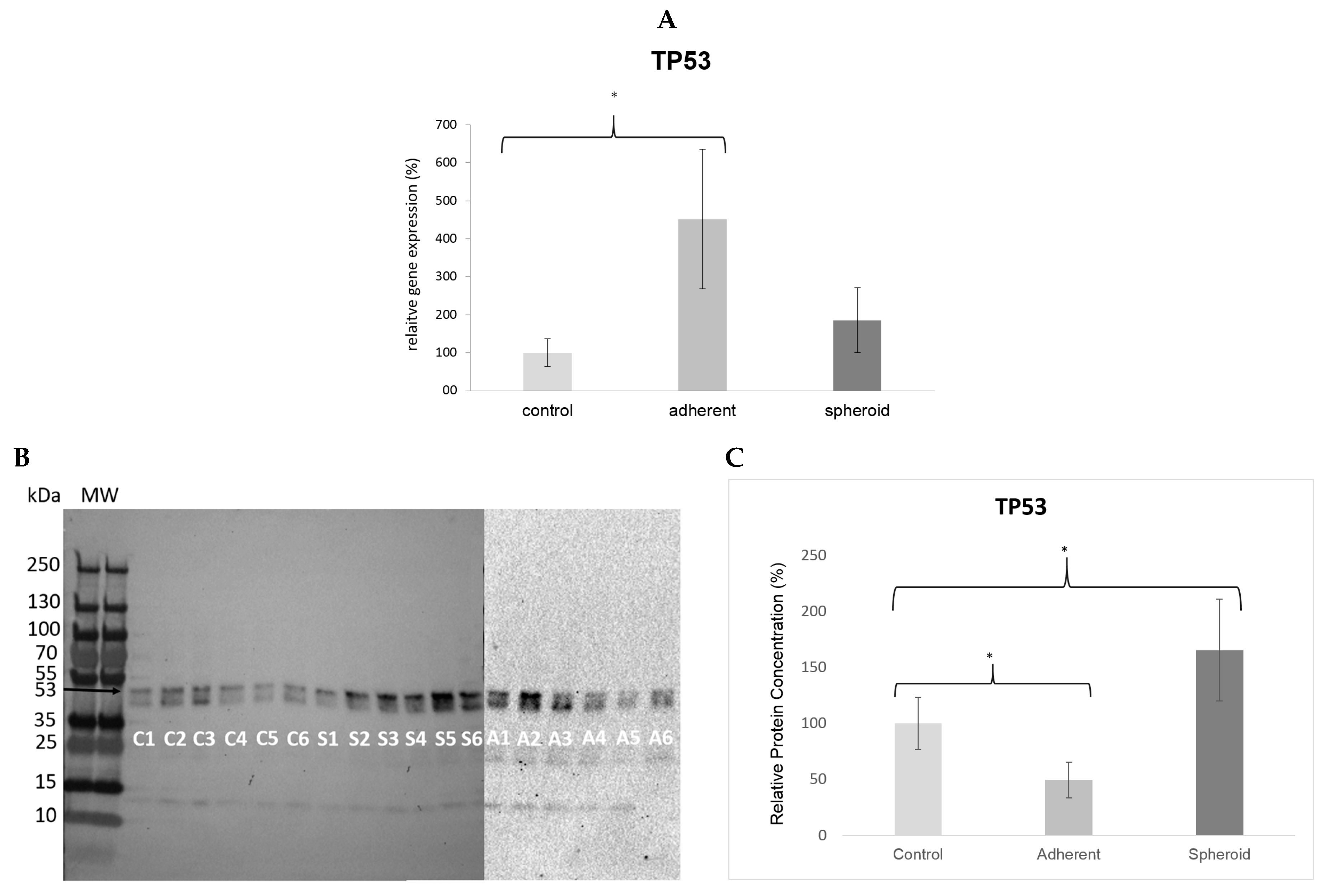 Ijms 20 03601 g005 Ijms 20 03601 g005