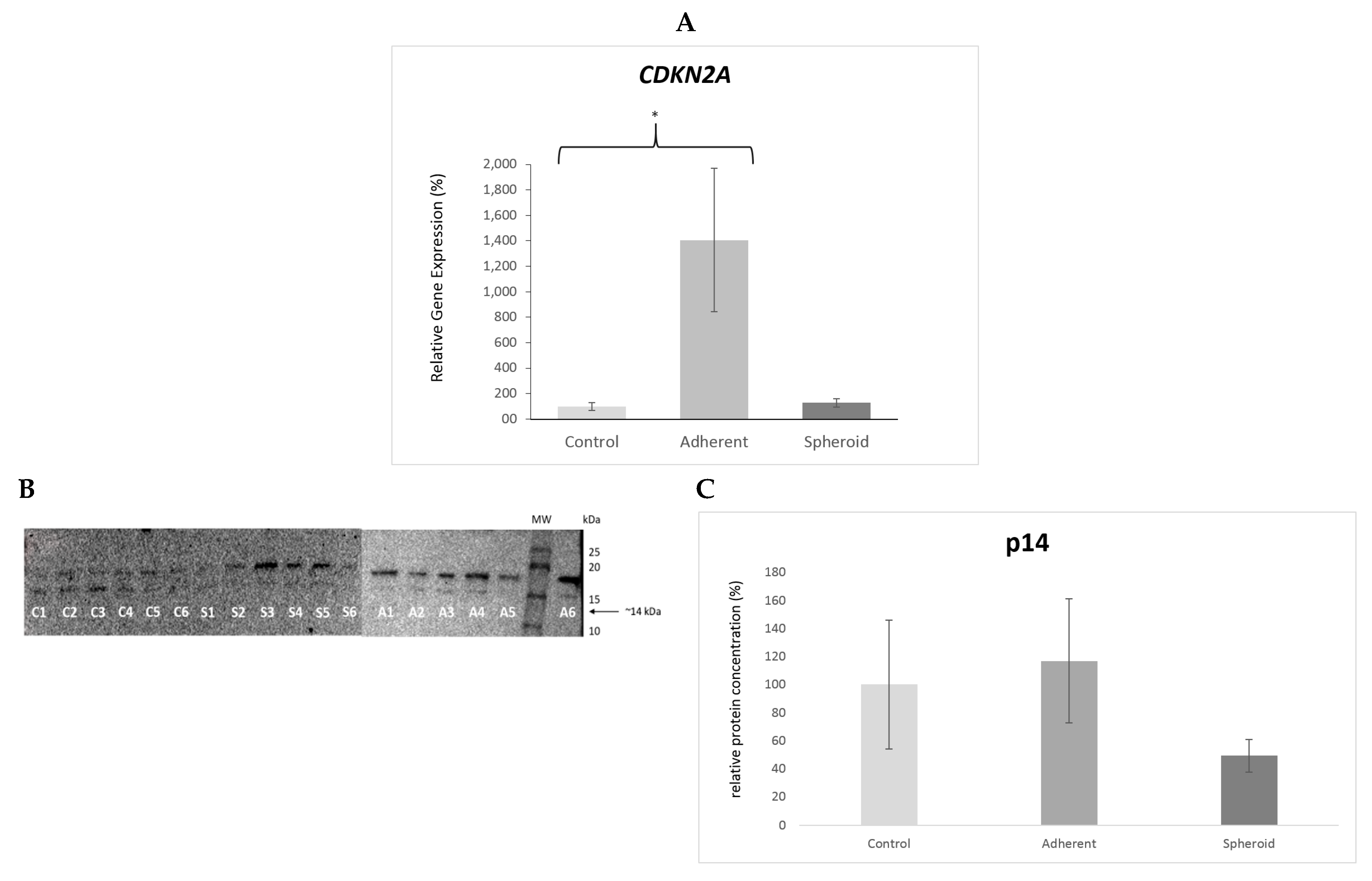 Ijms 20 03601 g006 Ijms 20 03601 g006