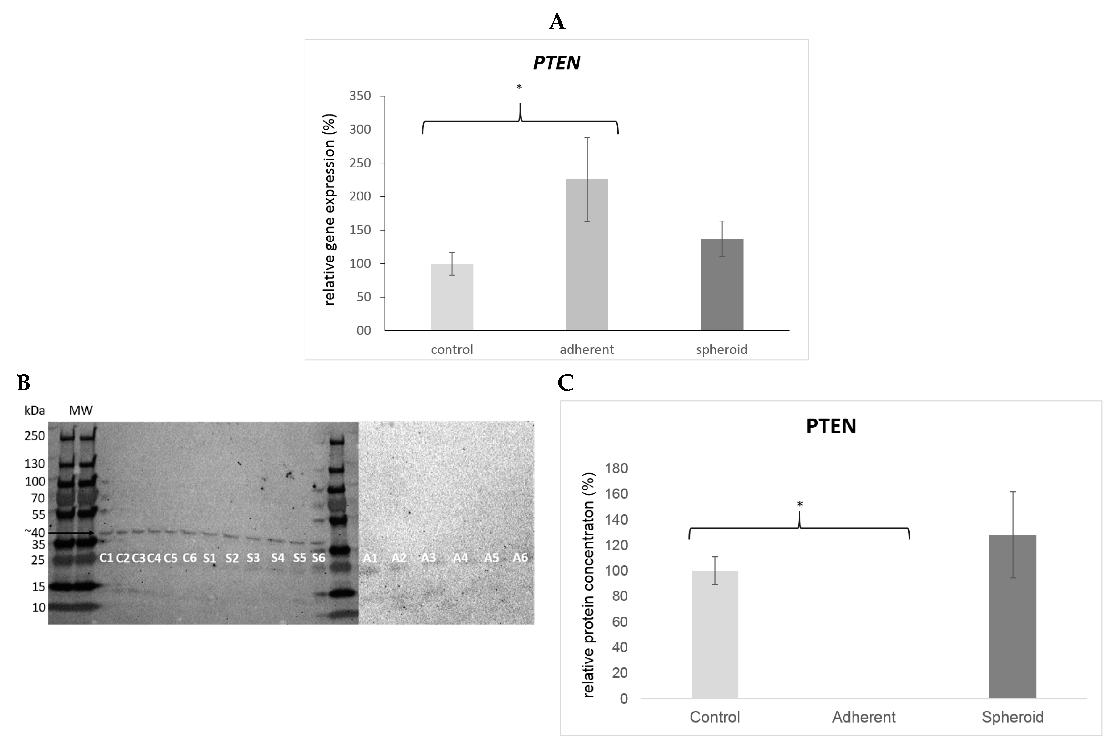 Ijms 20 03601 g008 Ijms 20 03601 g008