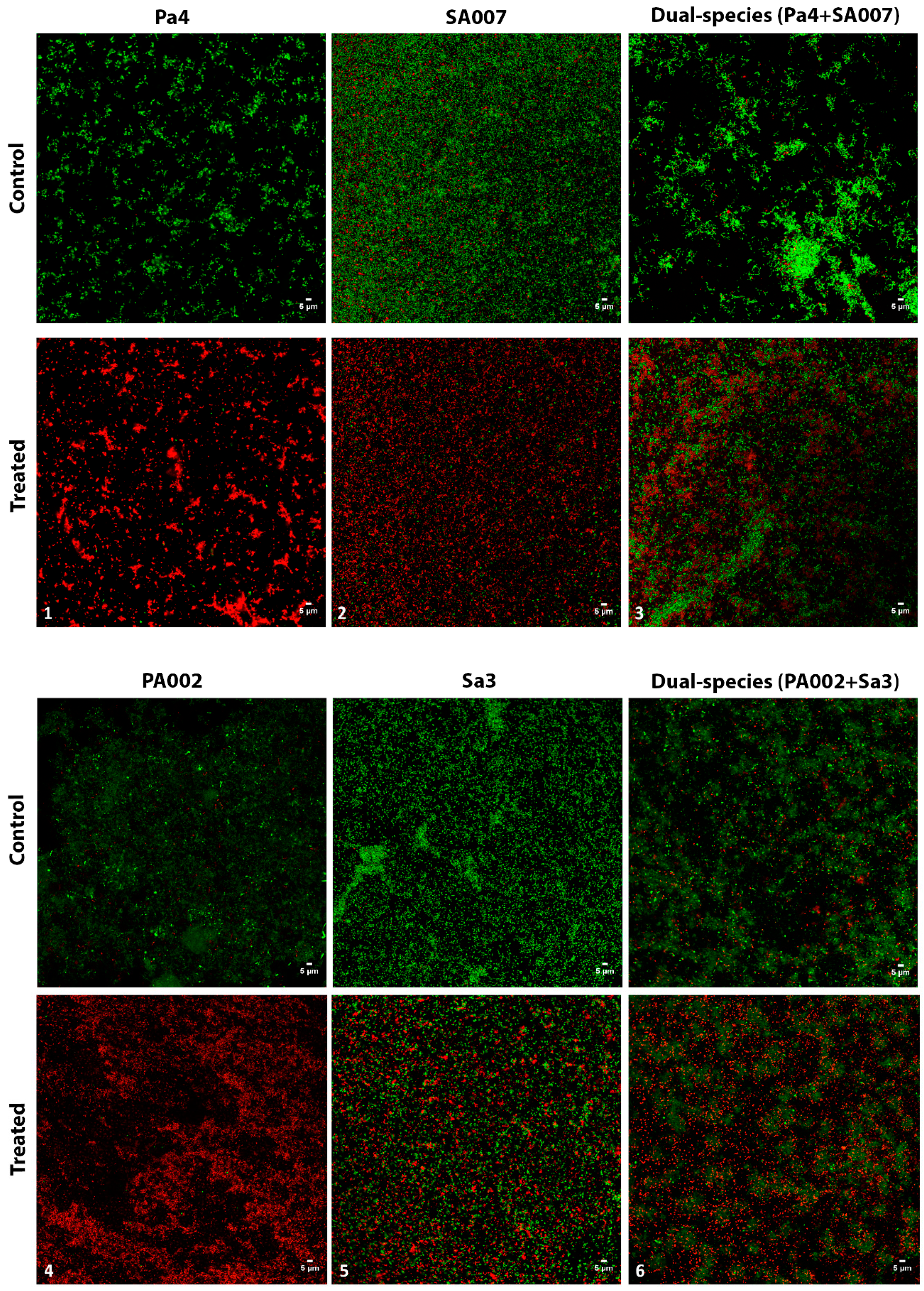Ijms 20 03604 g003 Ijms 20 03604 g003