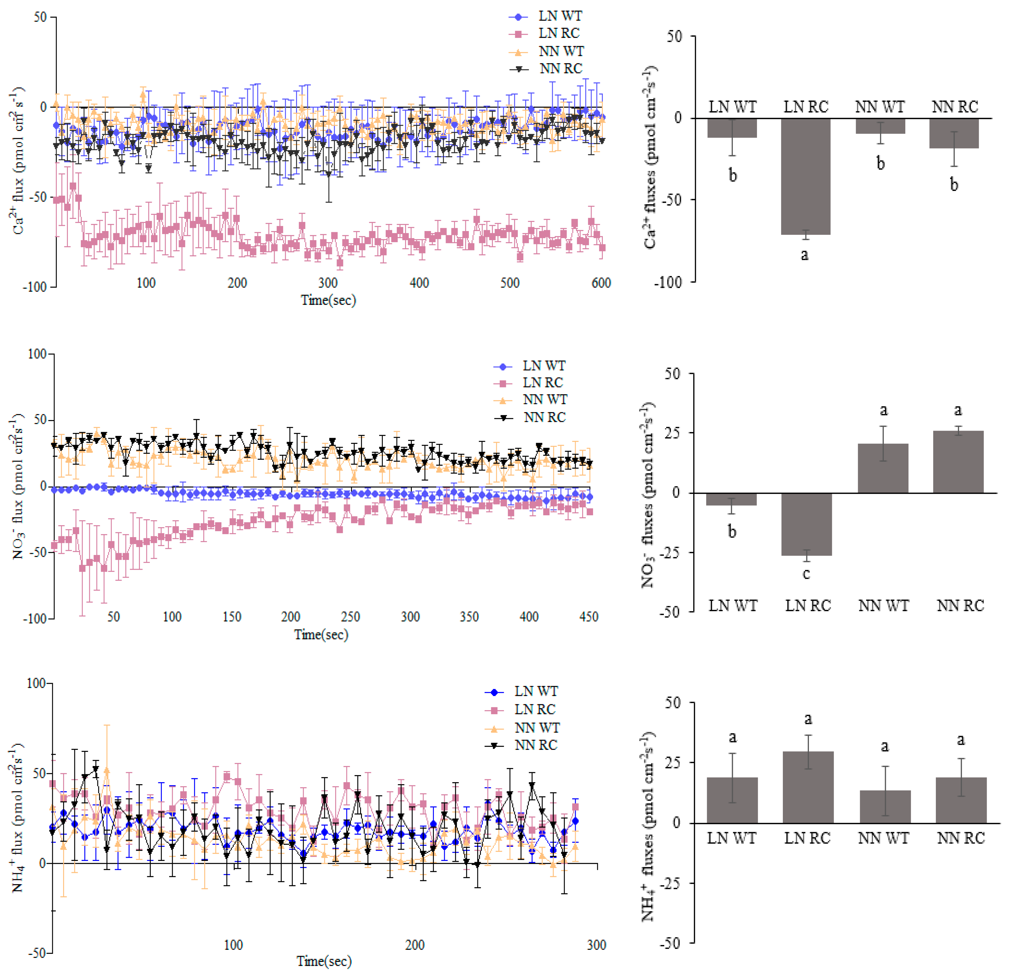 Ijms 20 03636 g007 Ijms 20 03636 g007