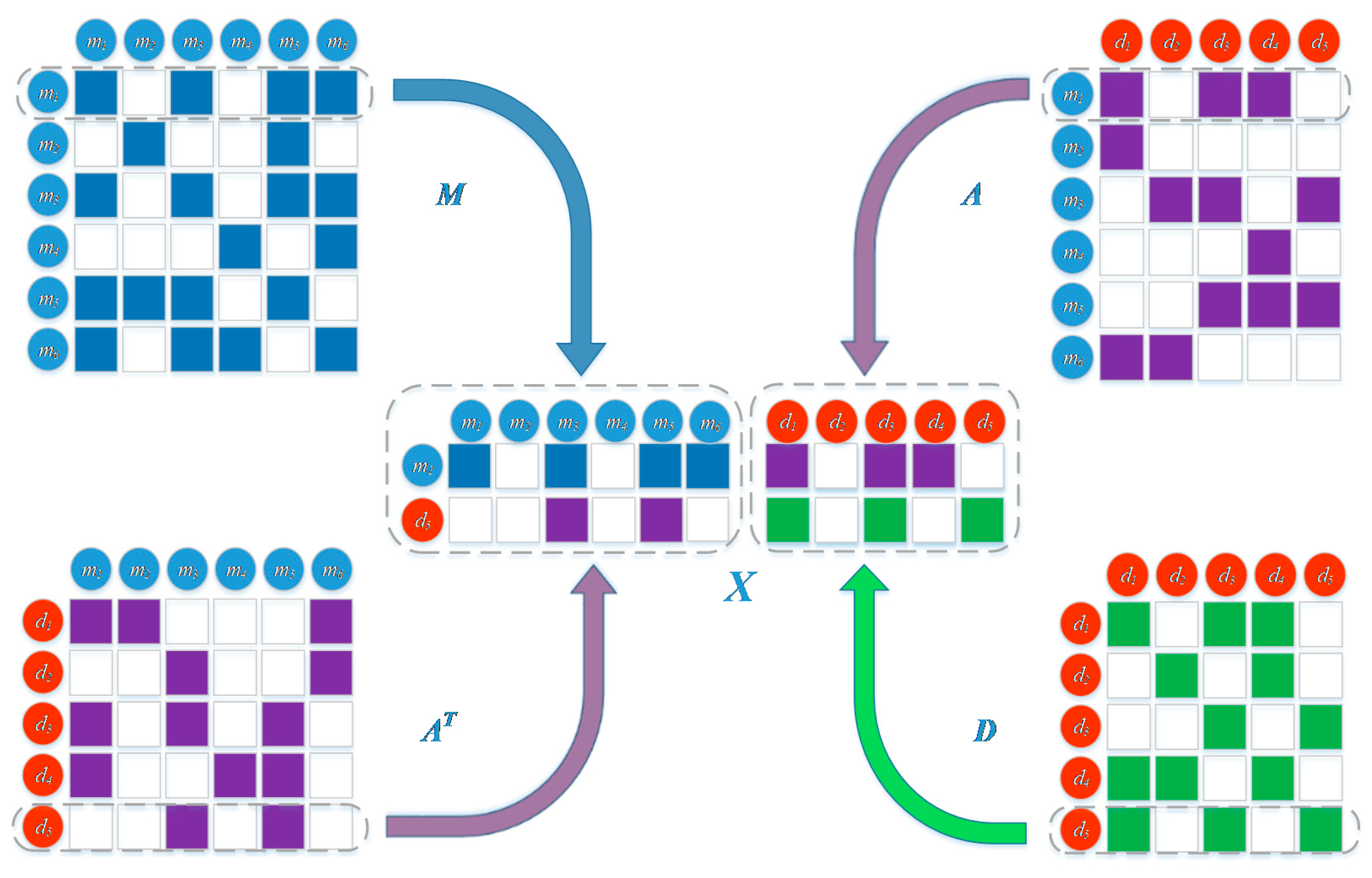 Ijms 20 03648 g005 Ijms 20 03648 g005