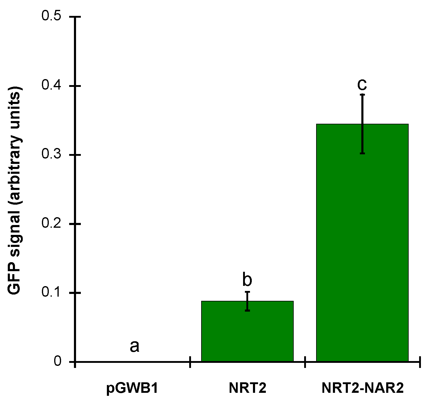 Ijms 20 03650 g004 Ijms 20 03650 g004