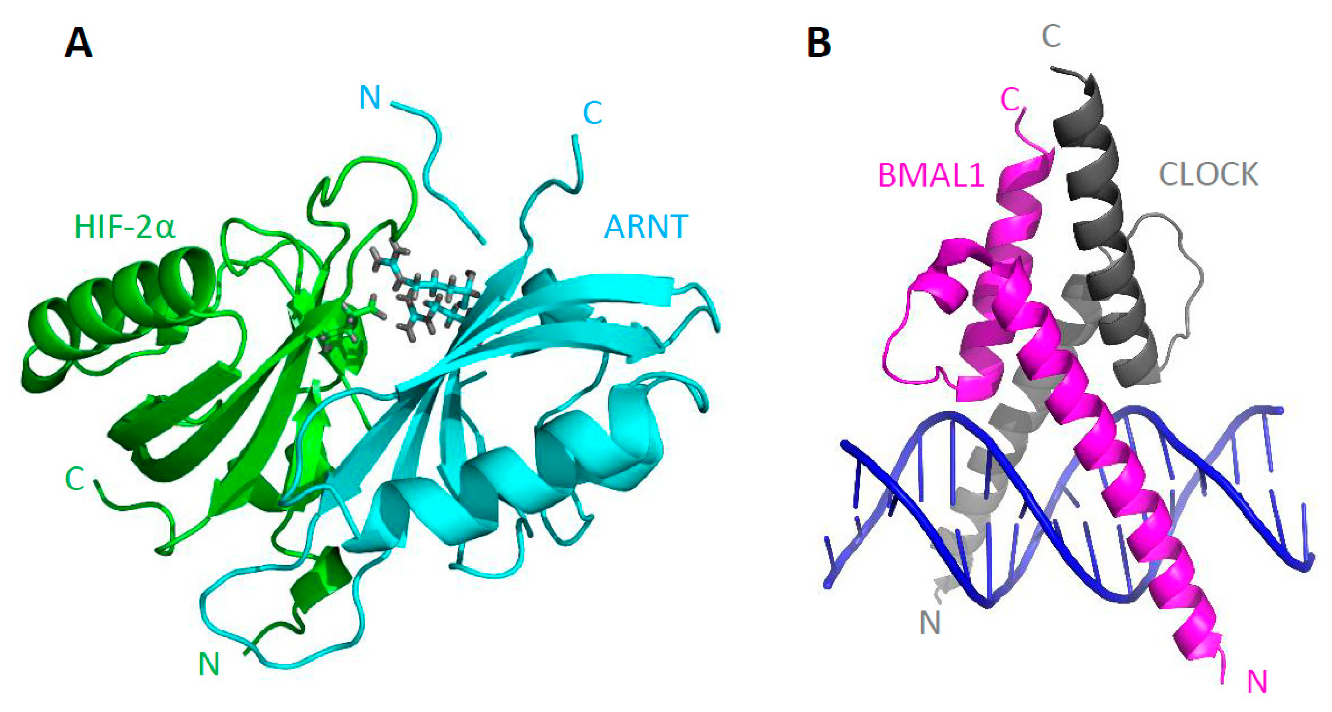 Ijms 20 03653 g003
