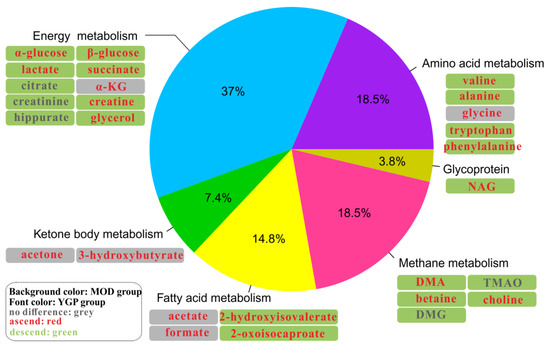 Integrated Systems Pharmacology, Urinary Metabonomics, and
