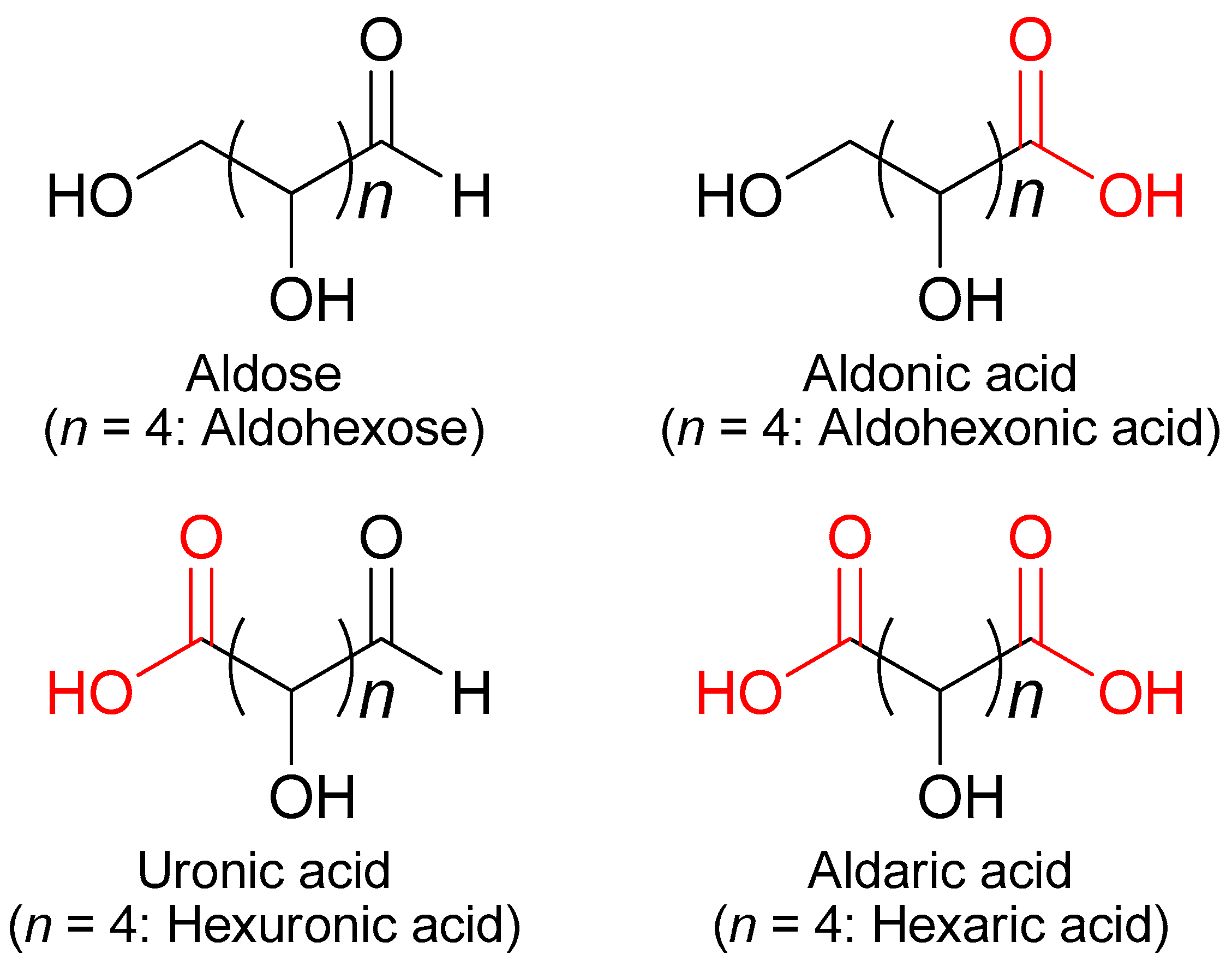 Ijms 20 03660 g001 Ijms 20 03660 g001