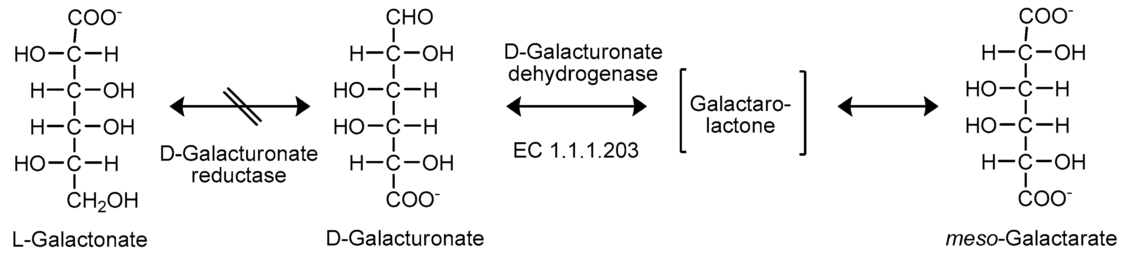 Ijms 20 03660 g009 Ijms 20 03660 g009