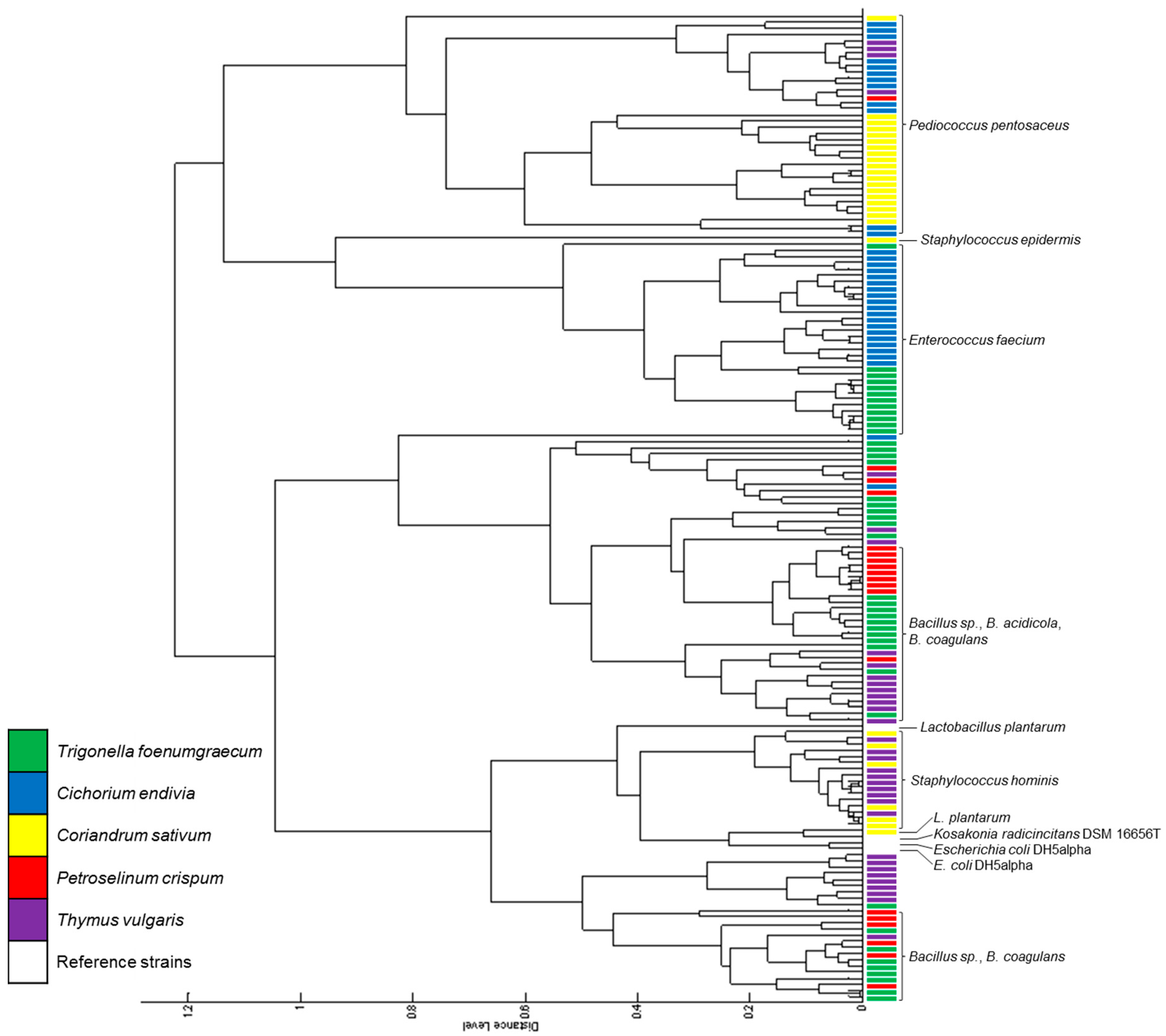 Ijms 20 03661 g003 Ijms 20 03661 g003