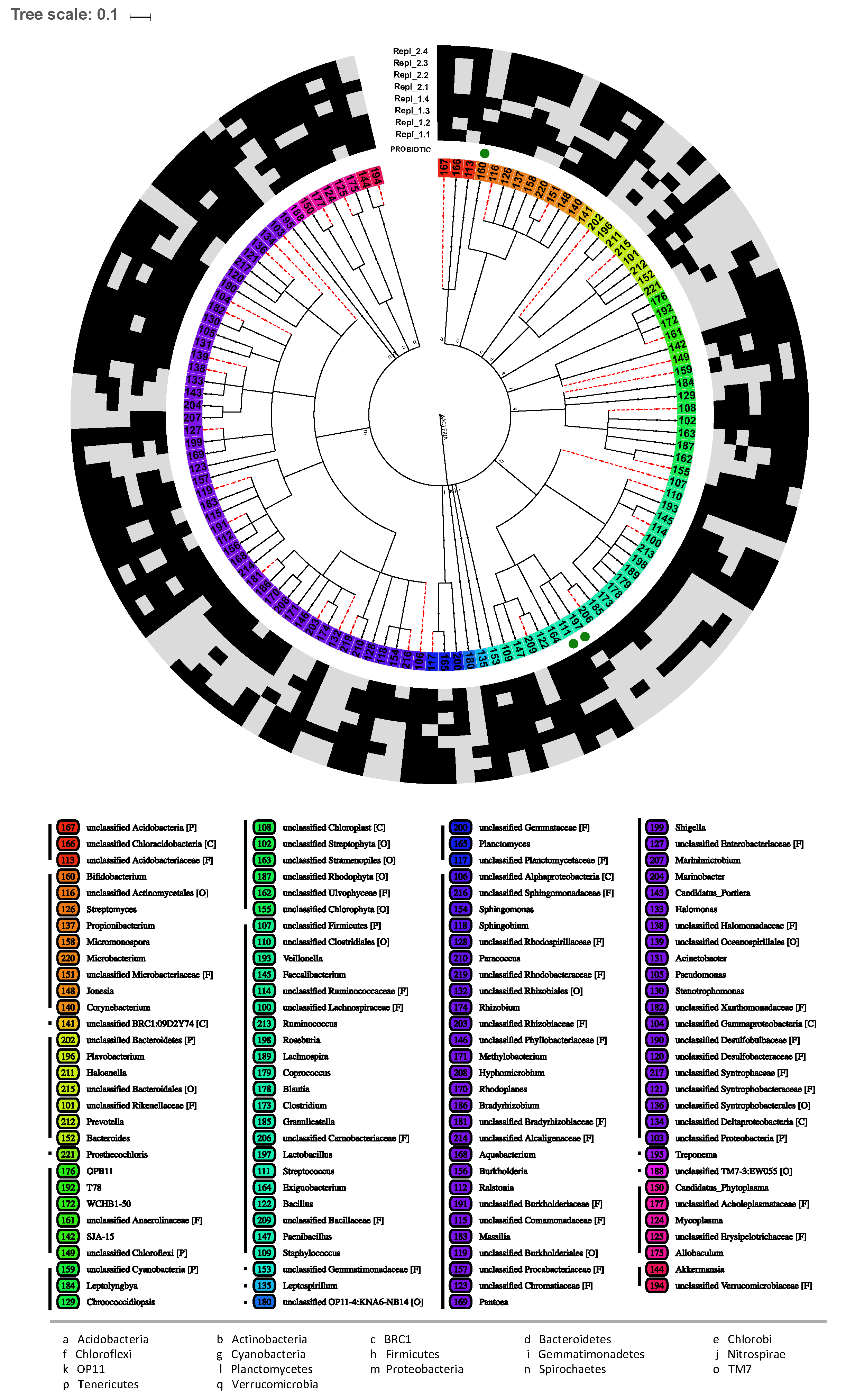Ijms 20 03661 g004 Ijms 20 03661 g004