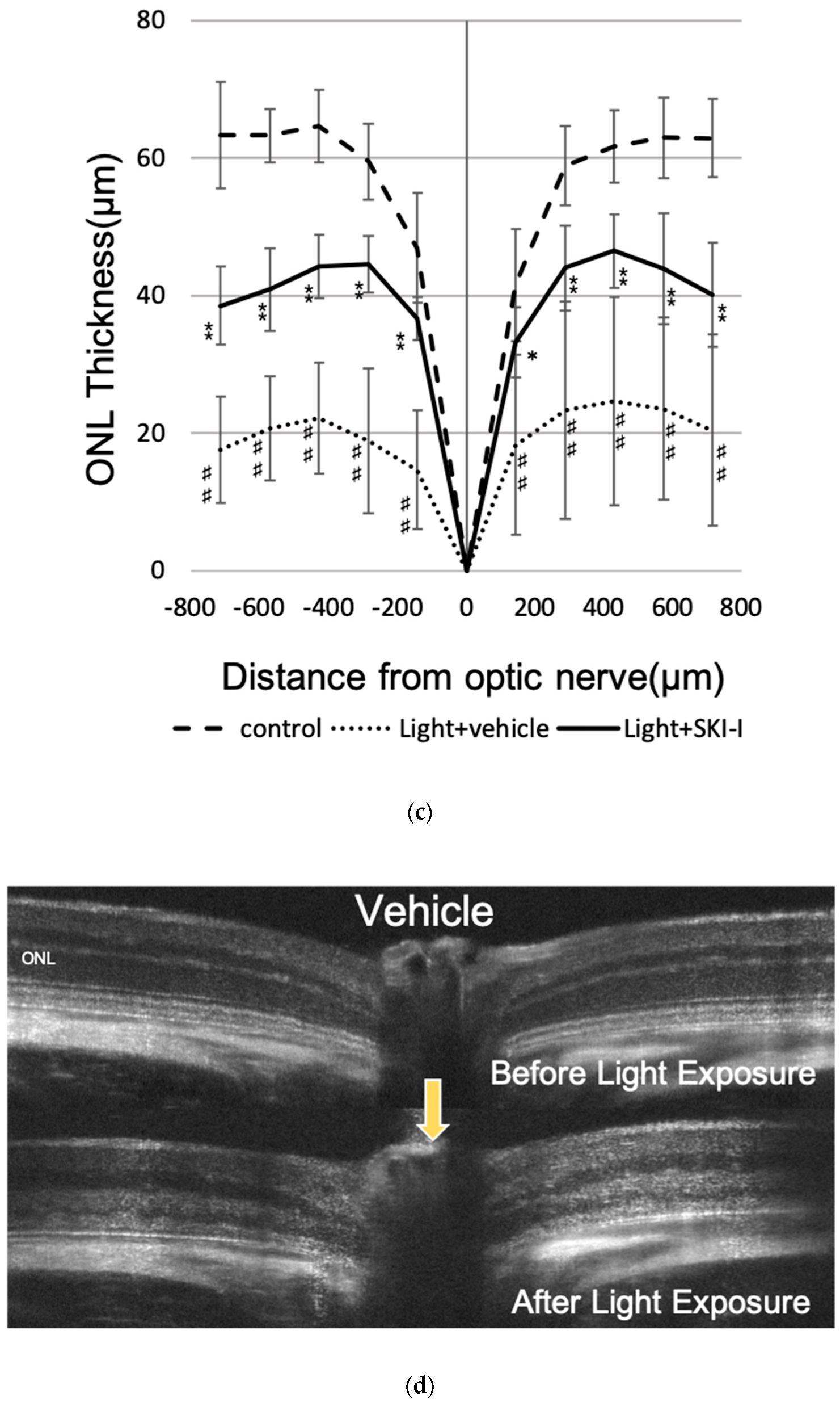 Ijms 20 03670 g008b Ijms 20 03670 g008b