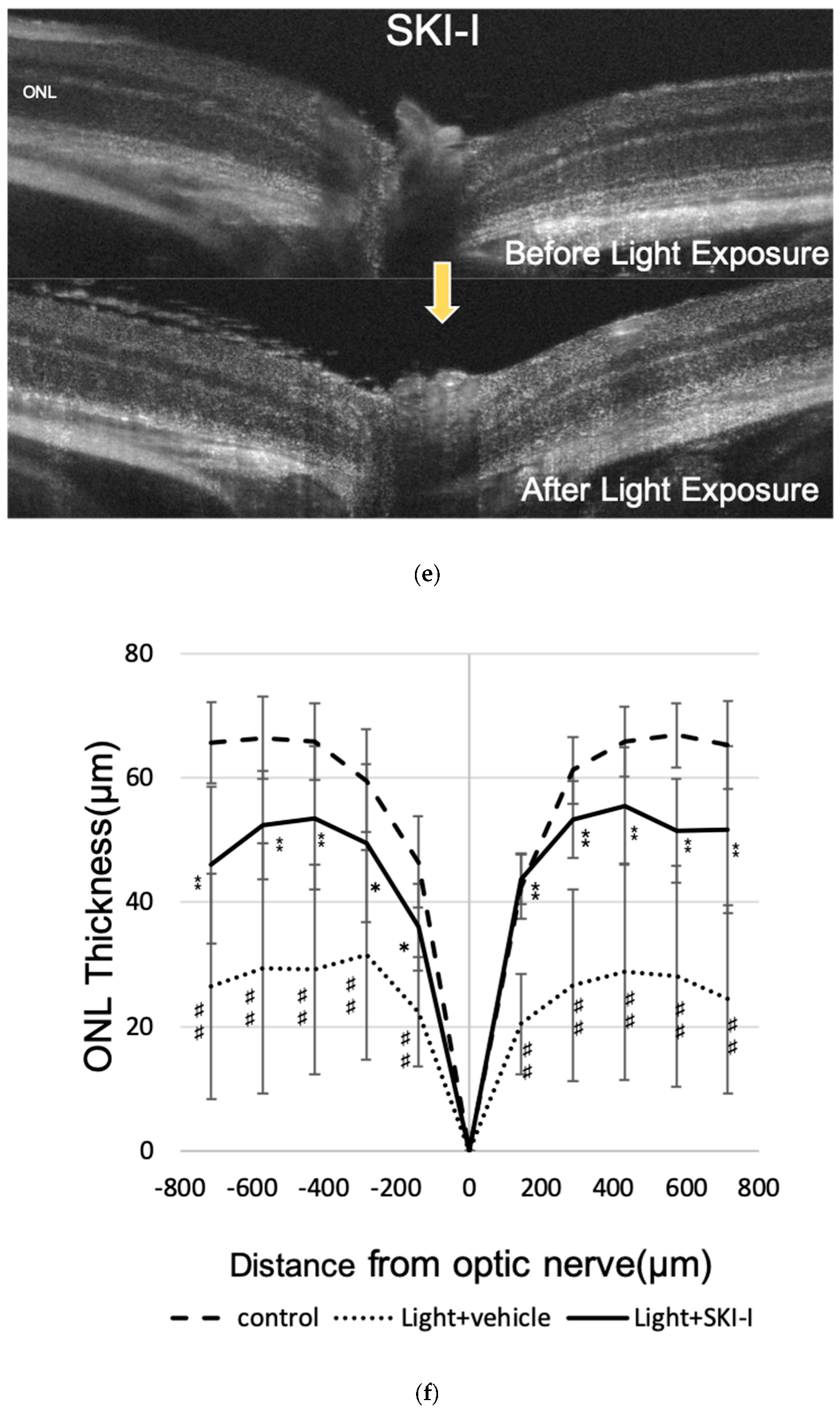 Ijms 20 03670 g008c Ijms 20 03670 g008c
